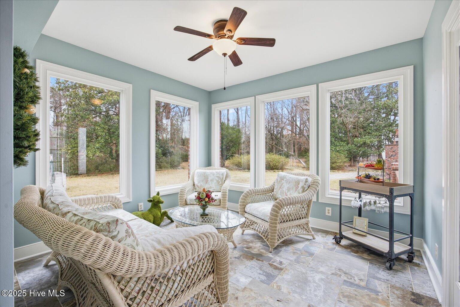 100545633 | Photo 16