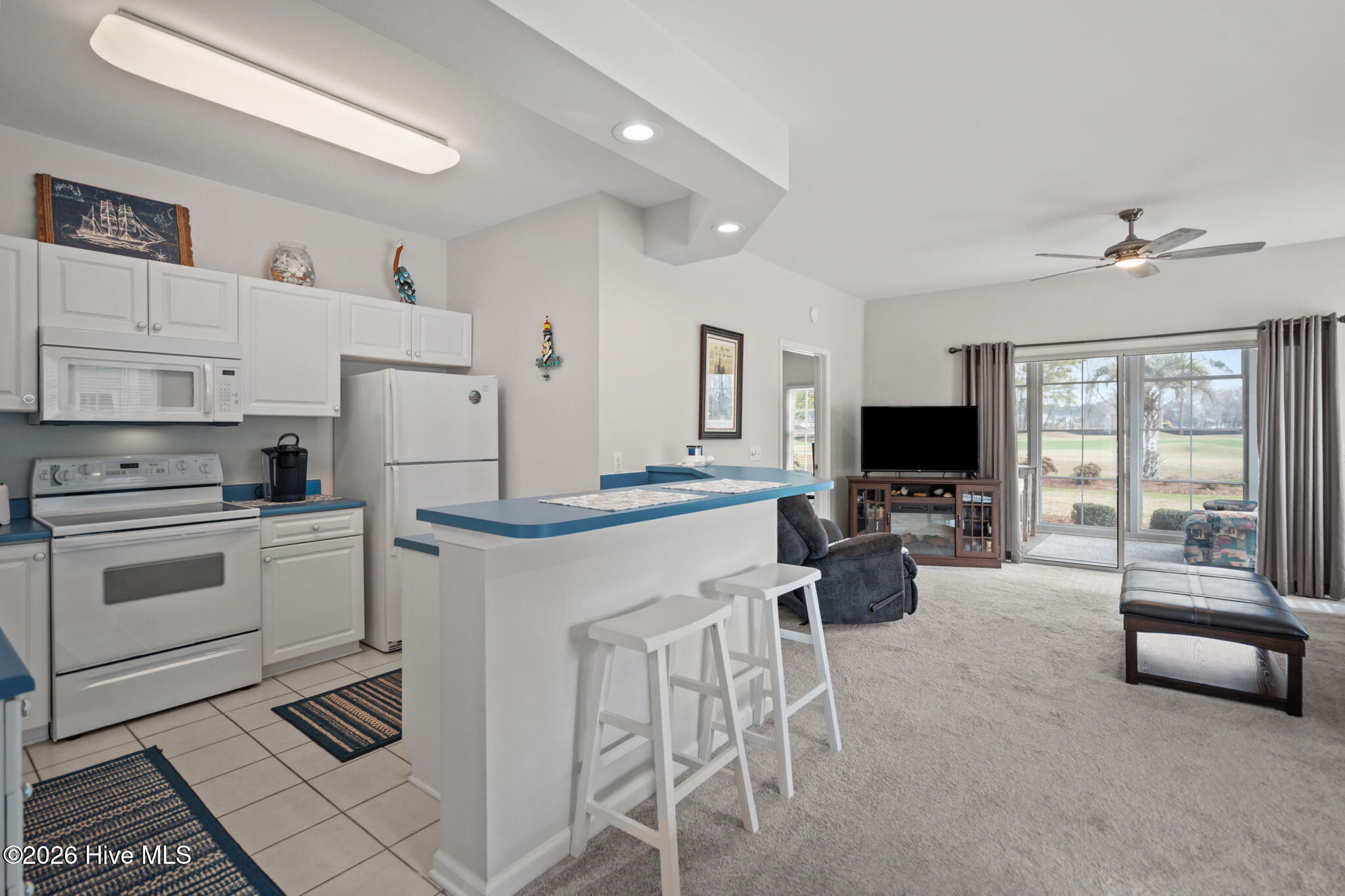 100559711 | Photo 13