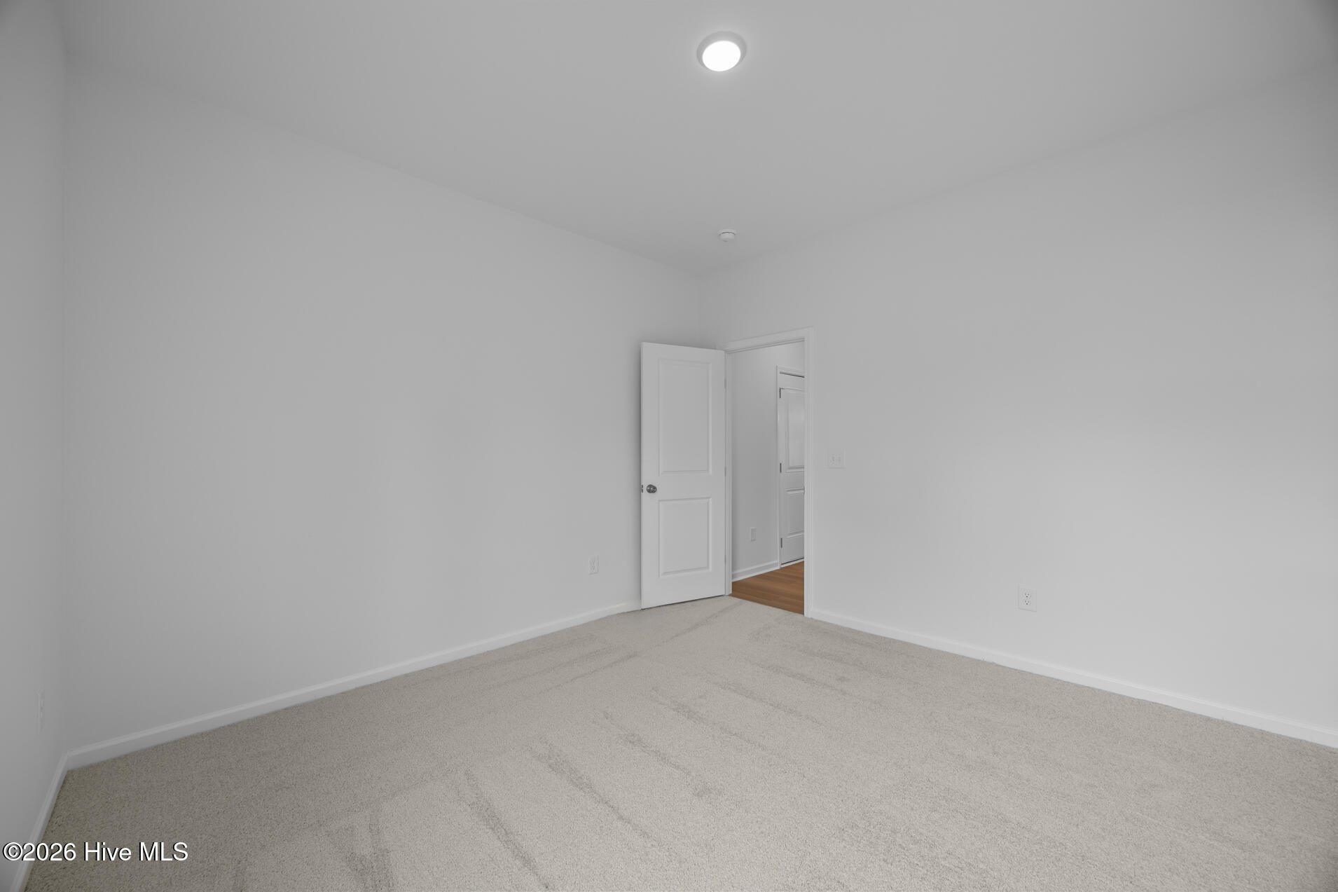 100555115 | Photo 12