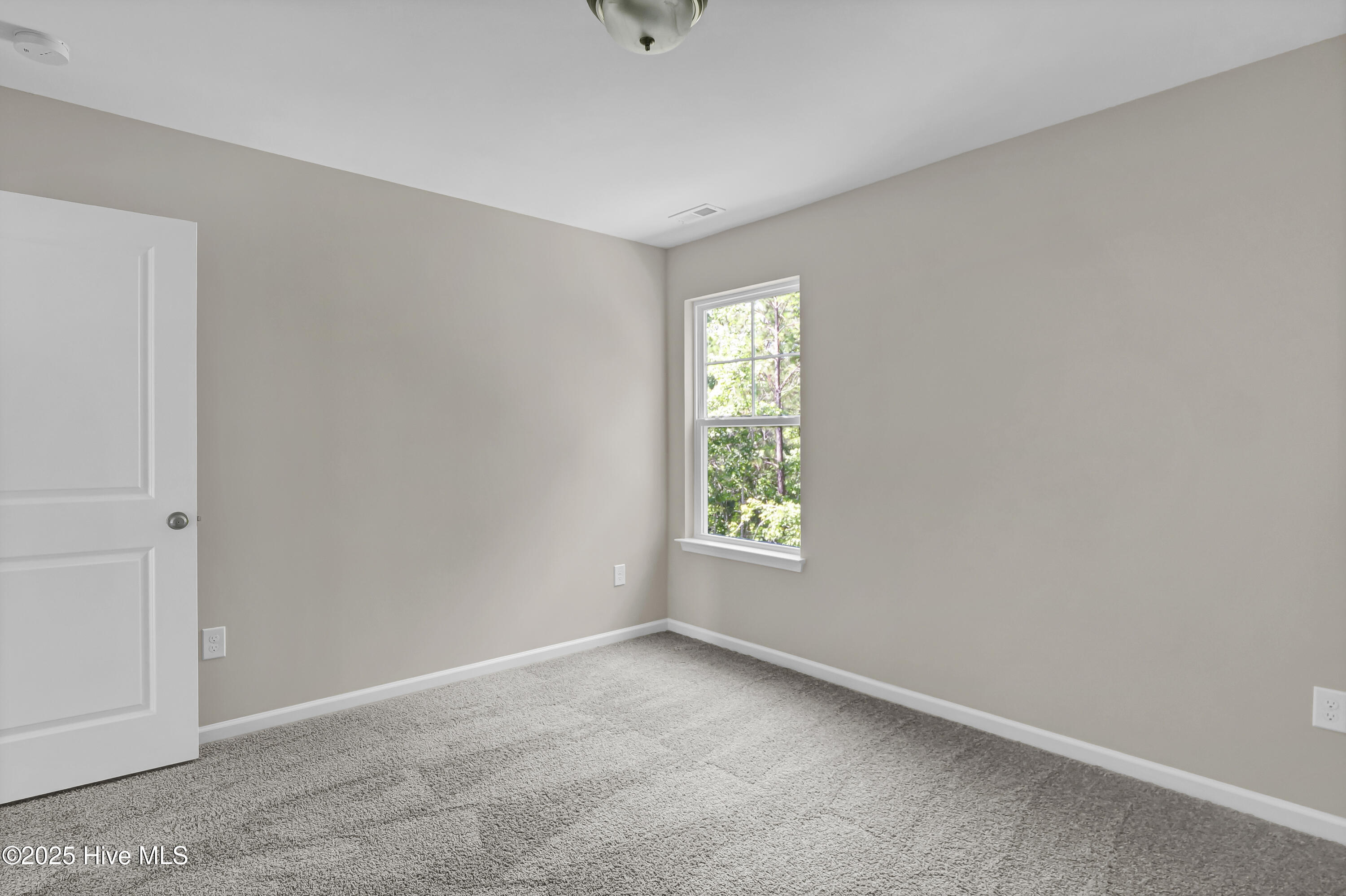 100514629 | Photo 27