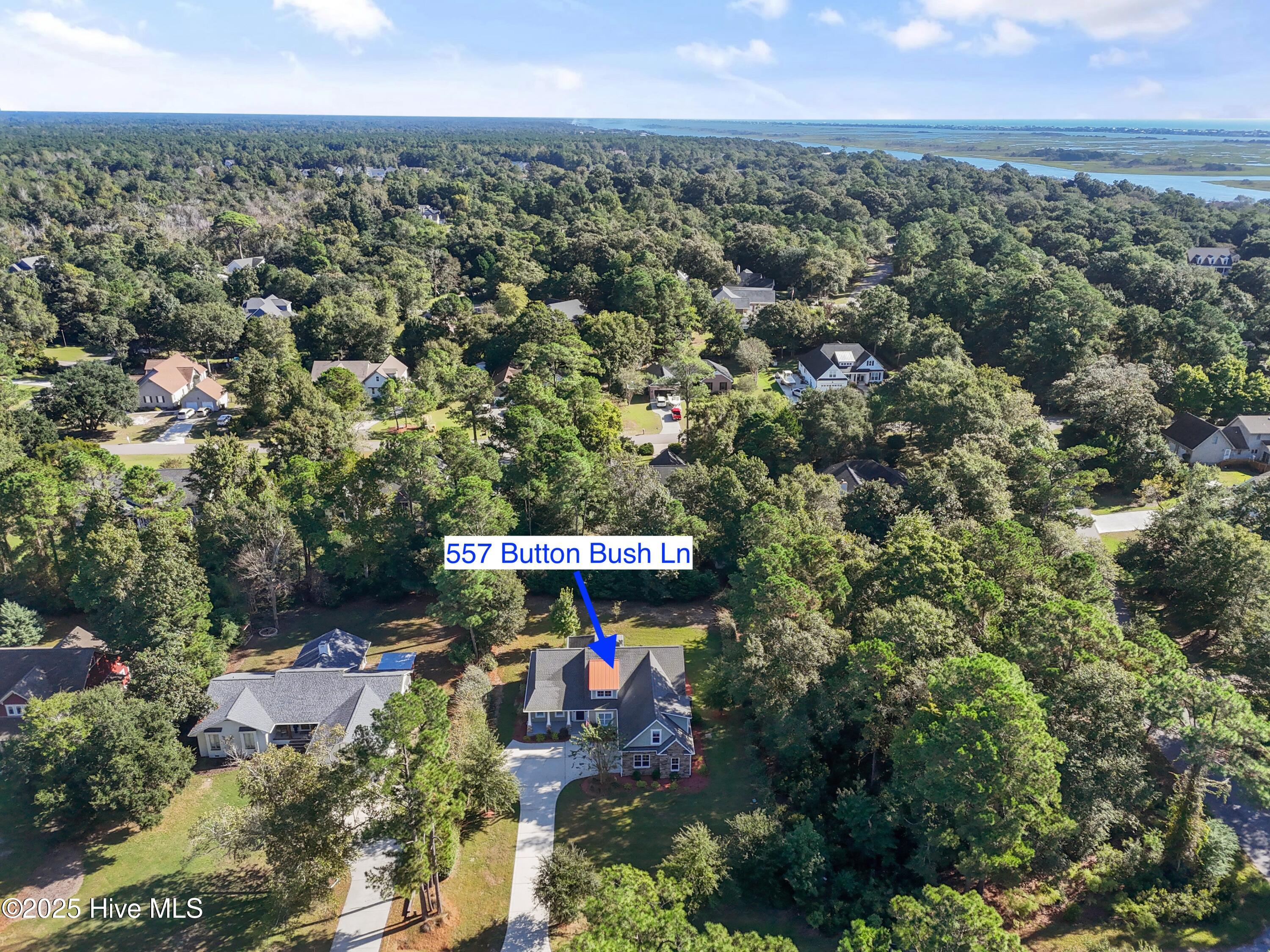 100534757 | Photo 46