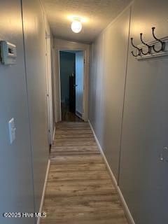 100553804 | Photo 13