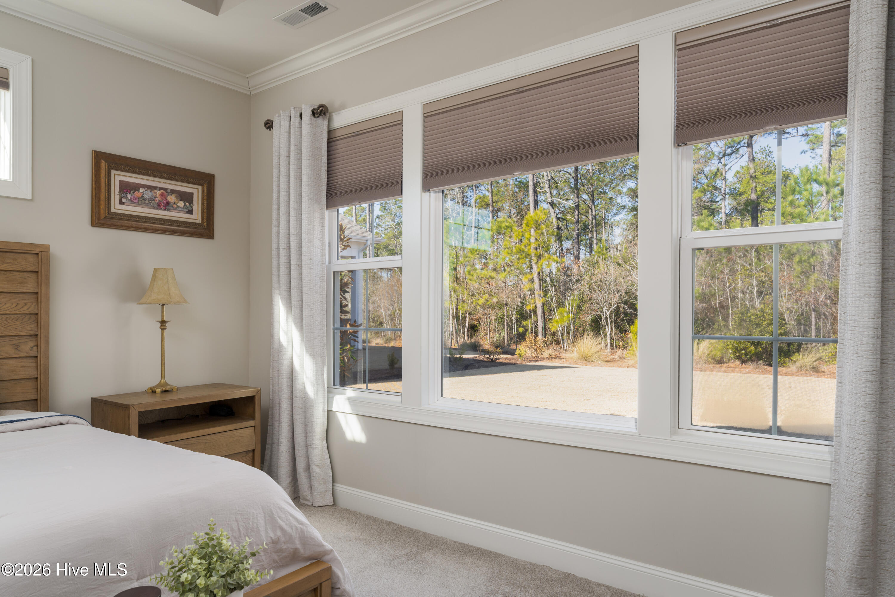 100553461 | Photo 32