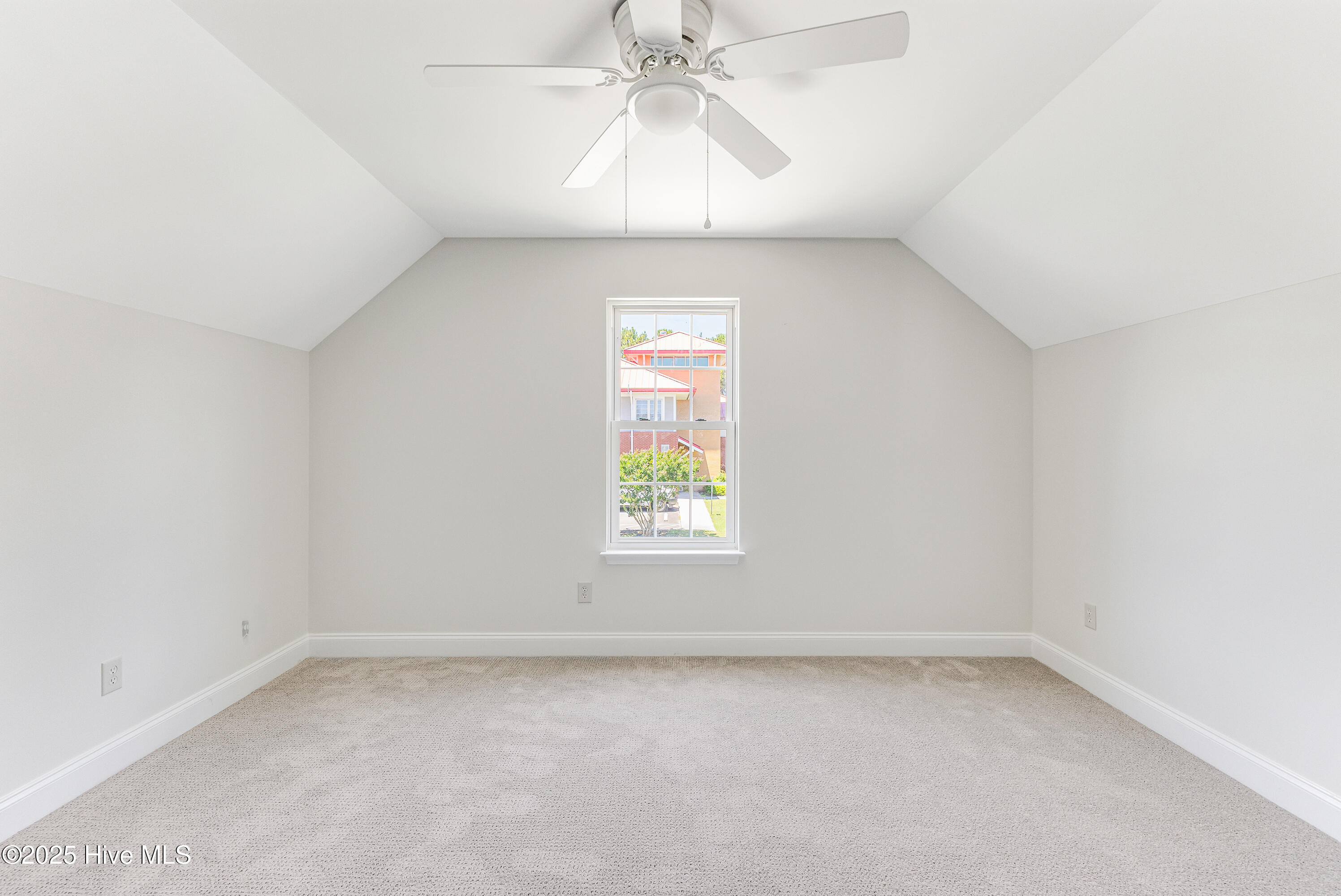 100563033 | Photo 29