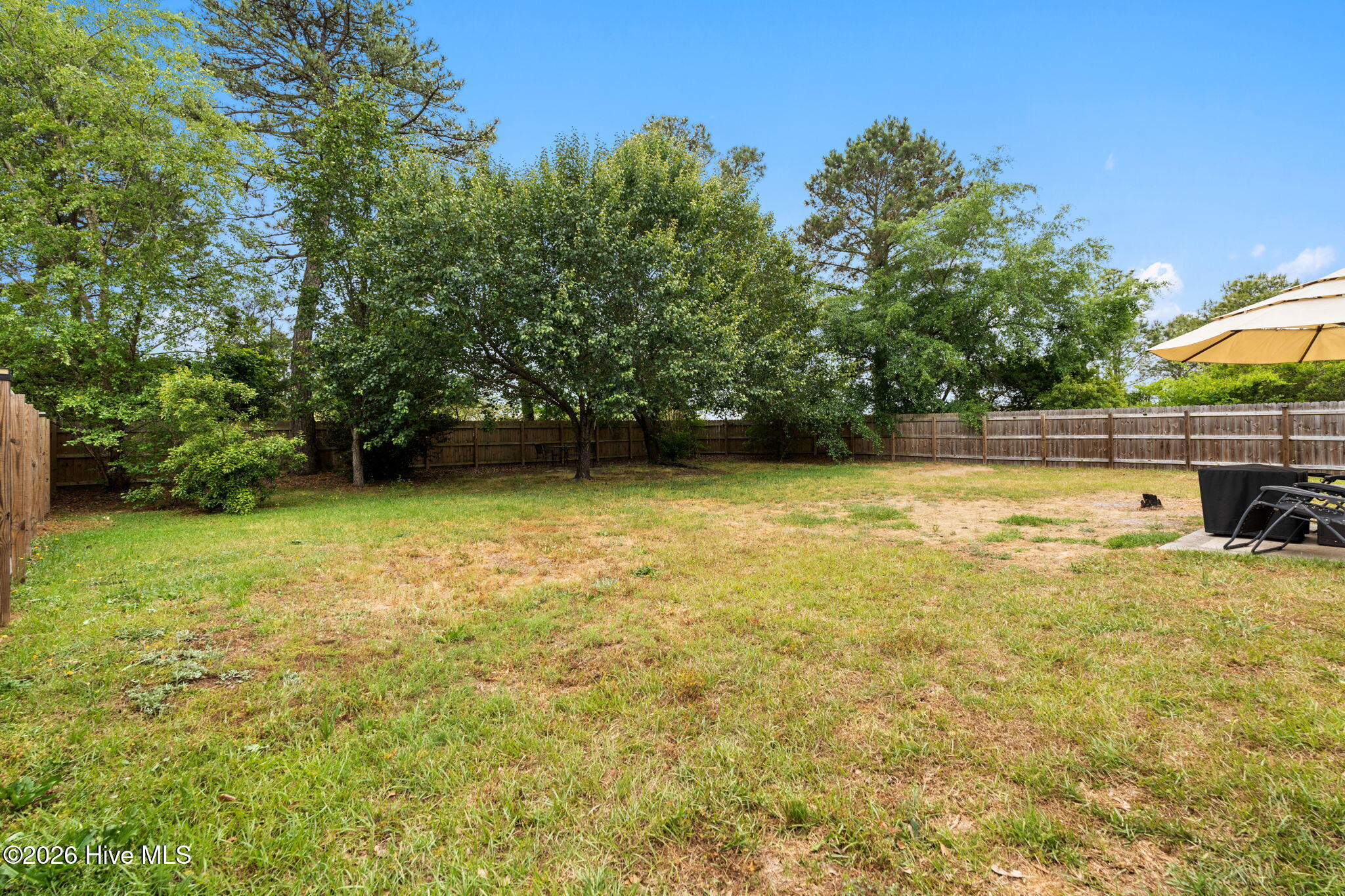 100570362 | Photo 26