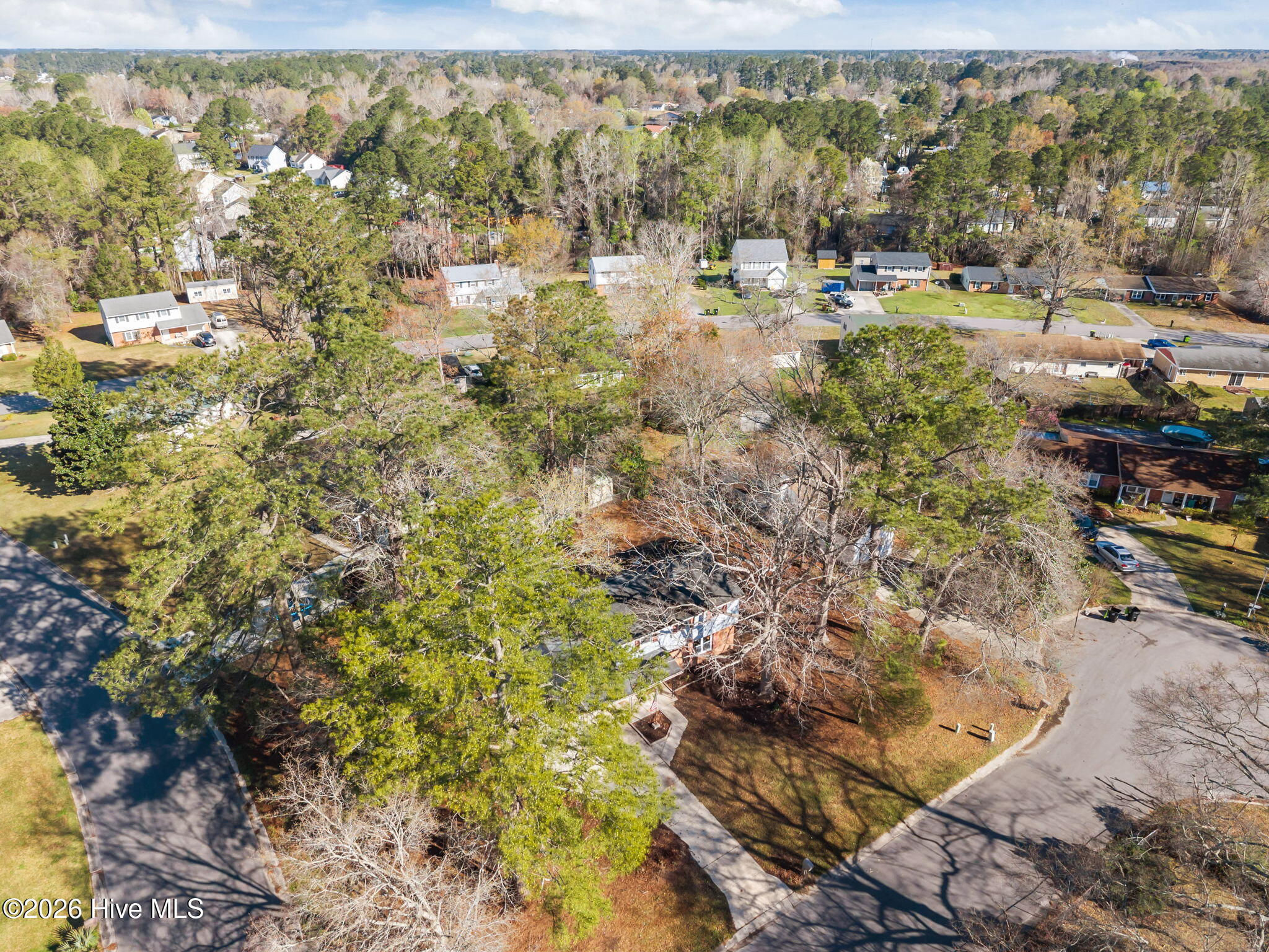 100560712 | Photo 43