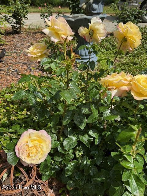 100513257 | Photo 63