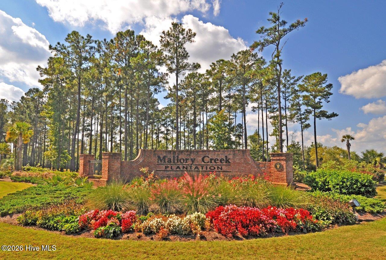 100553723 | Photo 41