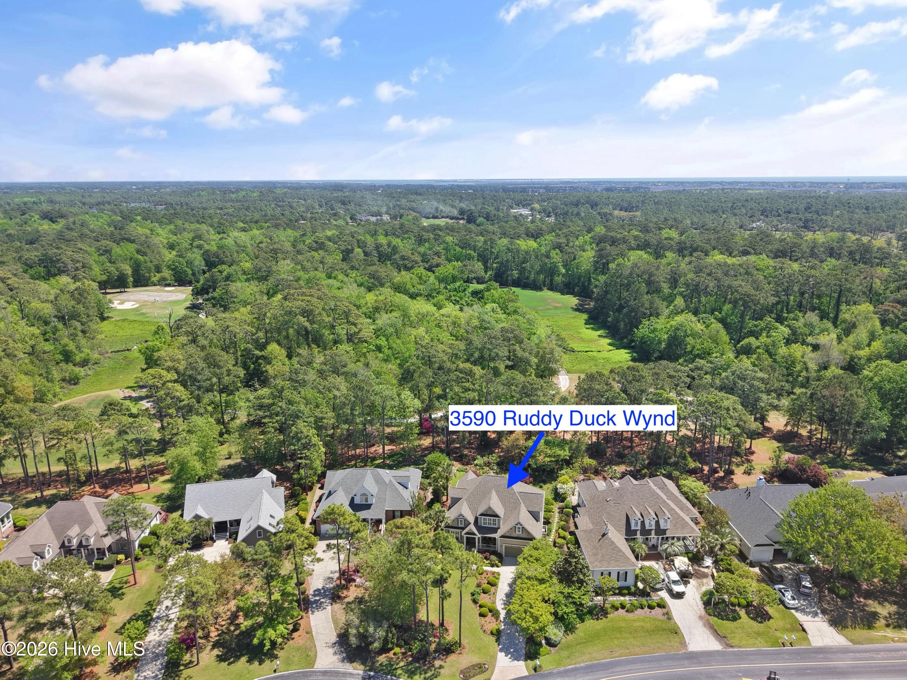 100567309 | Photo 88