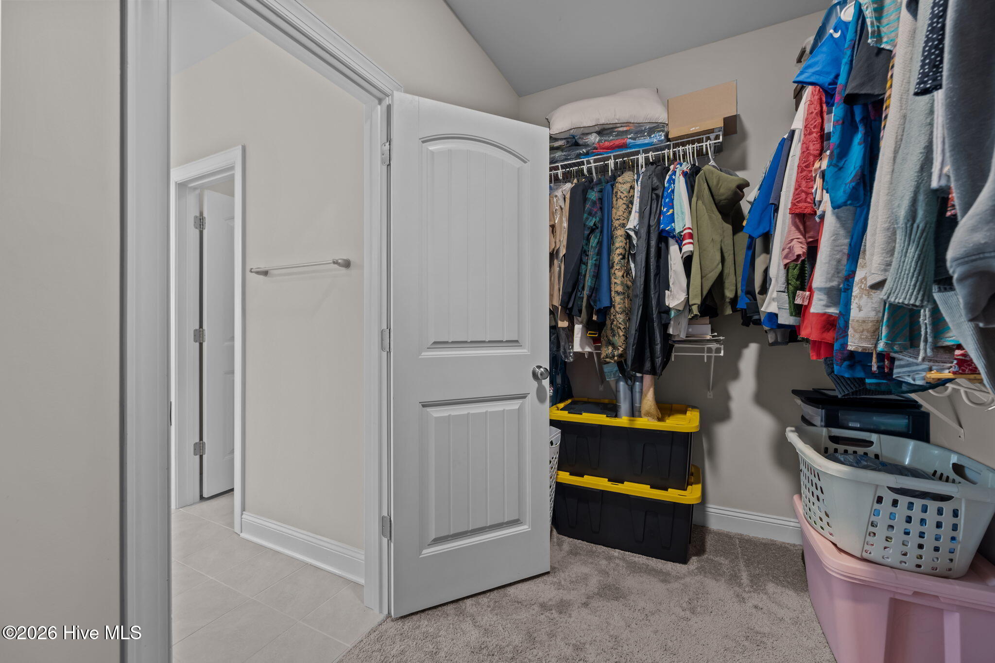 100557396 | Photo 24