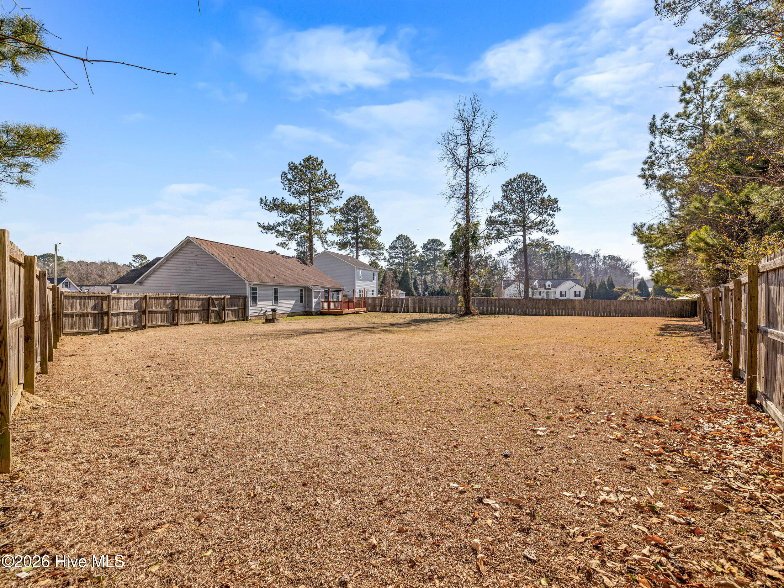 100554161 | Photo 42