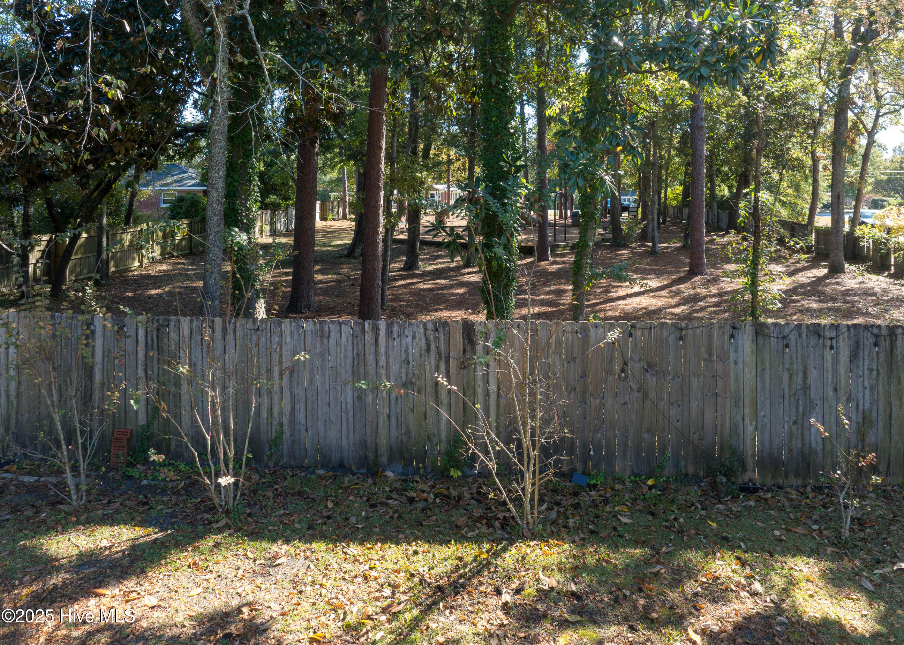 100539924 | Photo 39