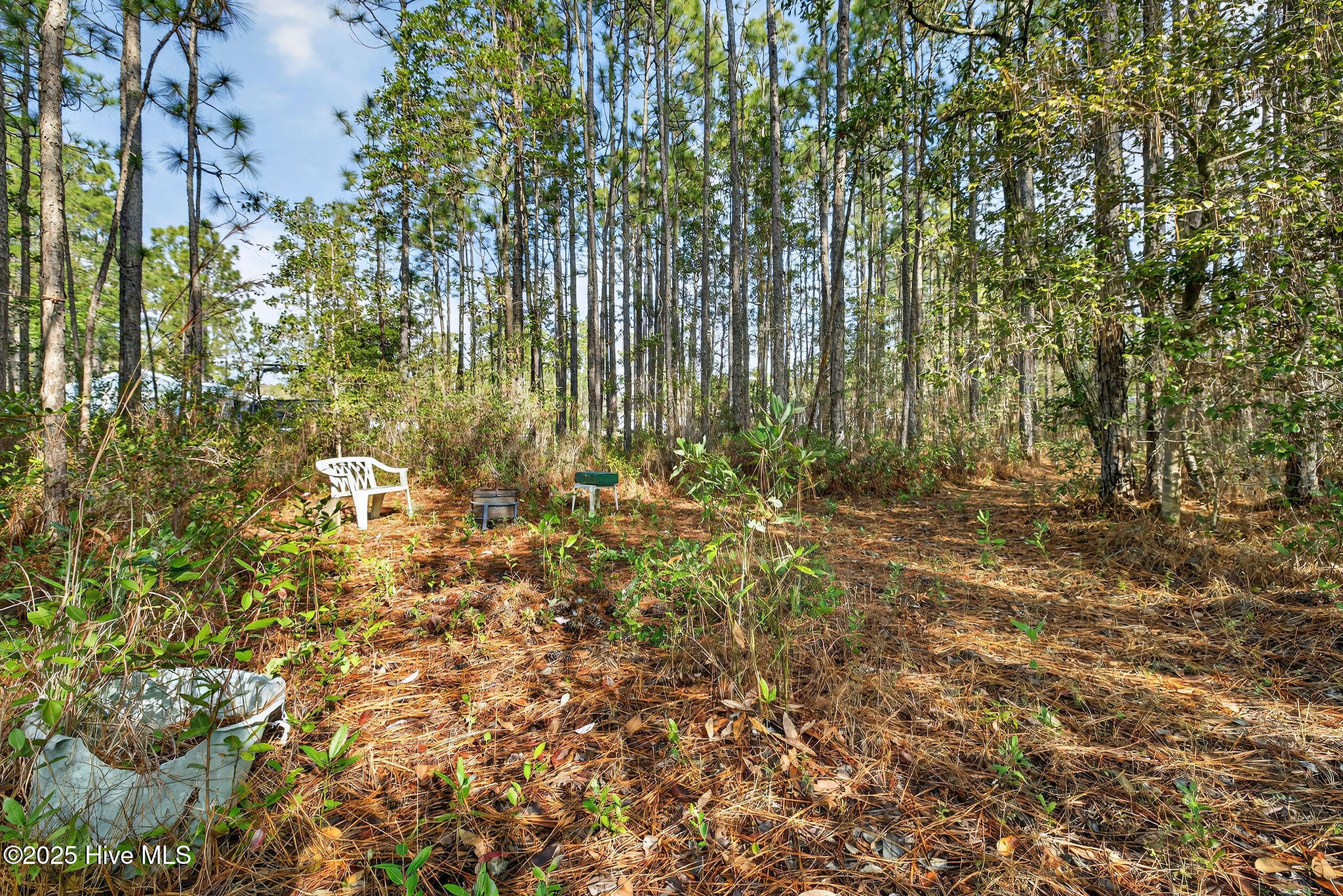 100544256 | Photo 33