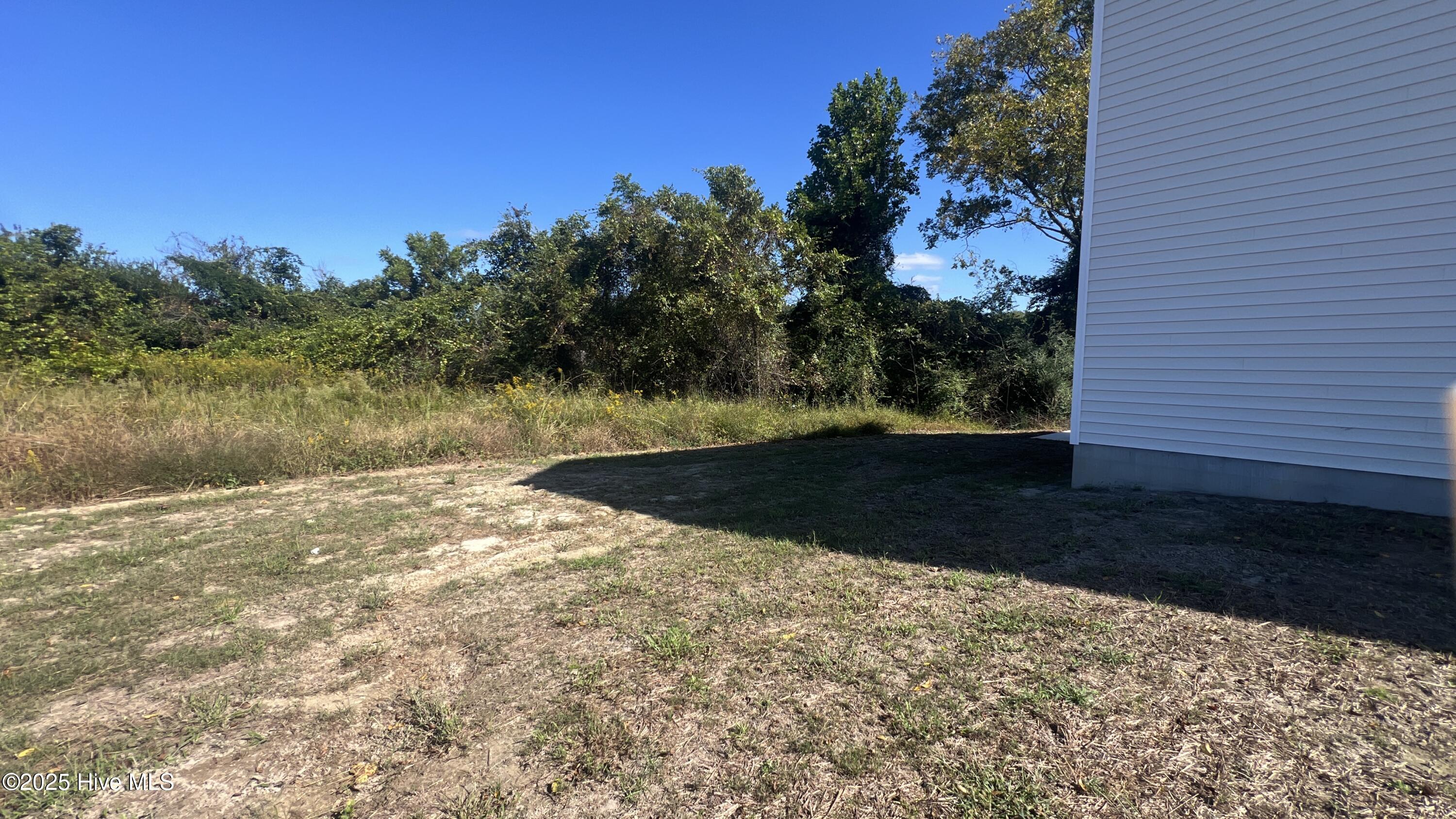 100505781 | Photo 30