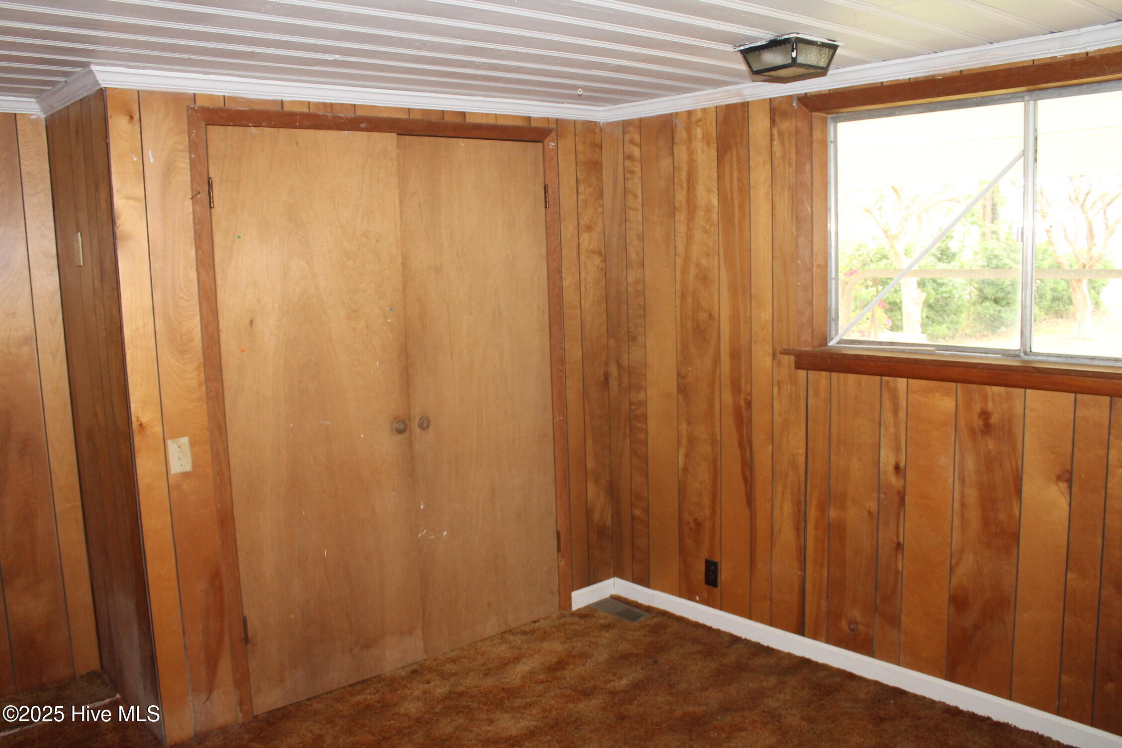 100535737 | Photo 19