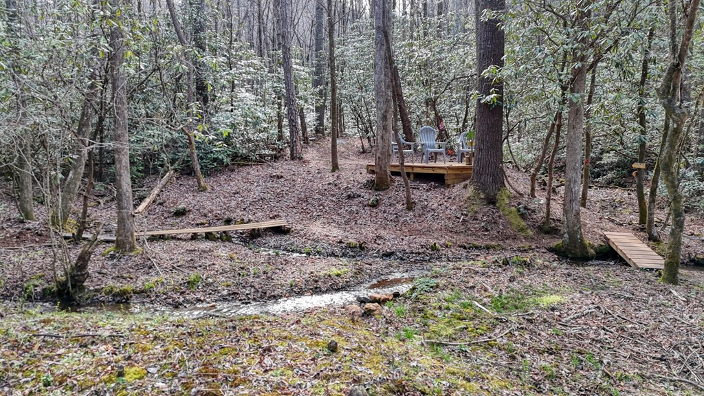 520 Farmer Drive, Murphy, NC 28906 Listing Photo  61