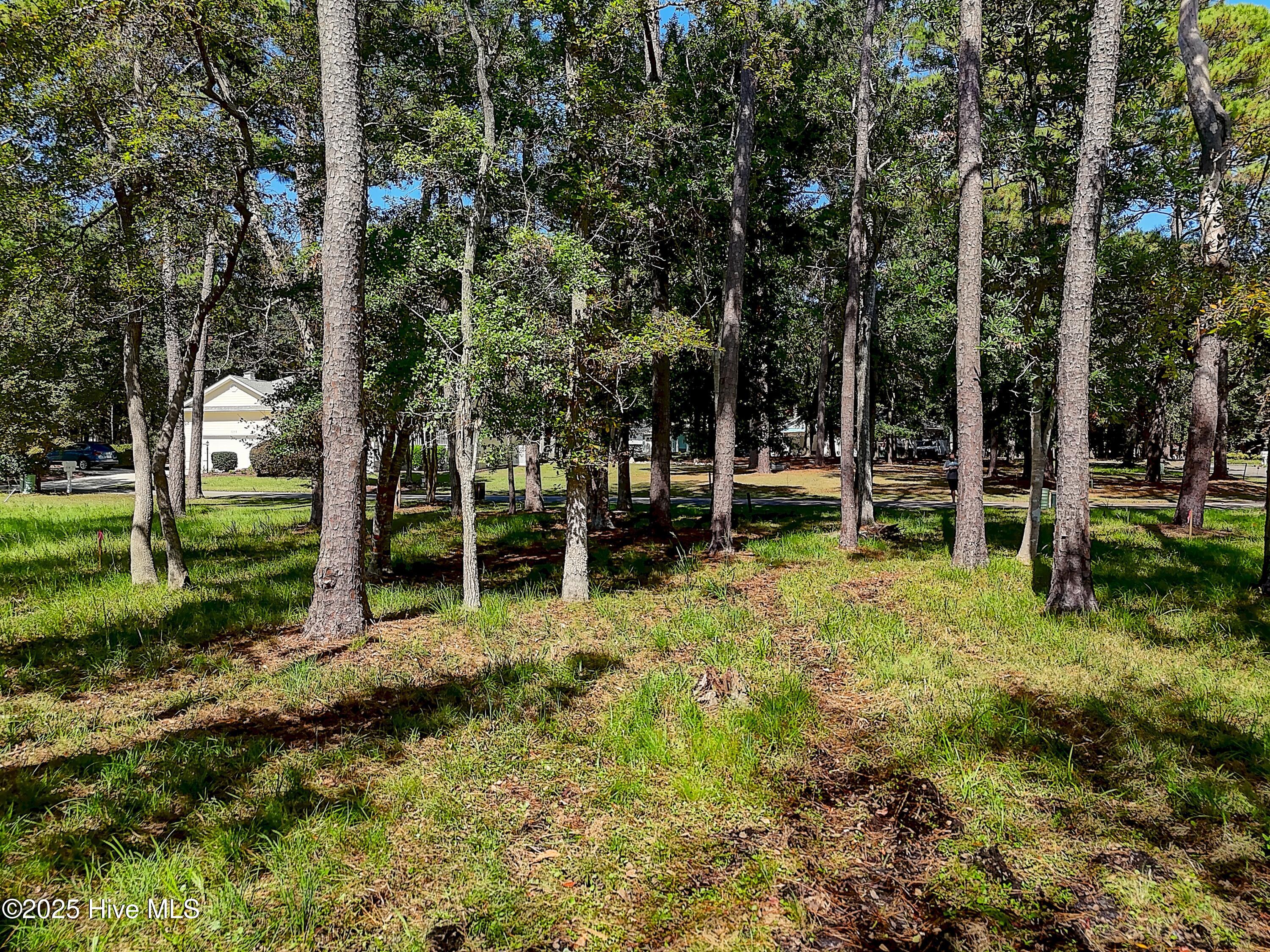 100533806 | Photo 17