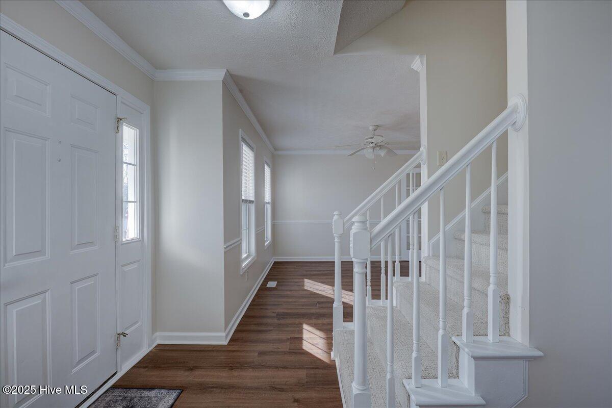 100546036 | Photo 23