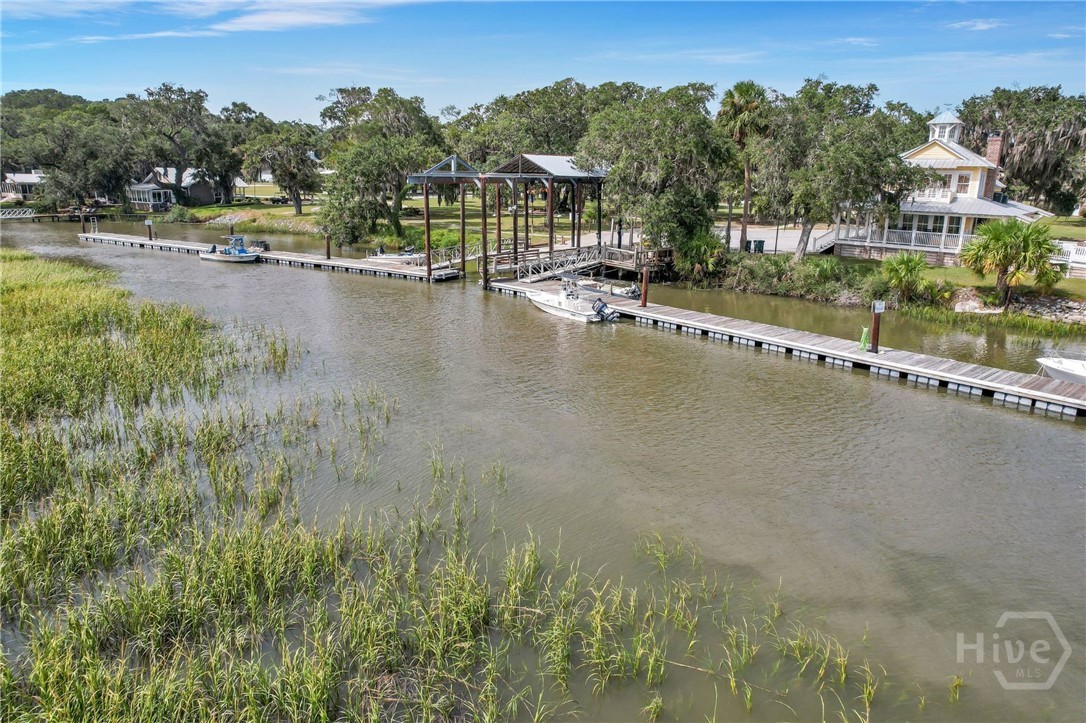 Neighborhood hoist and dock
