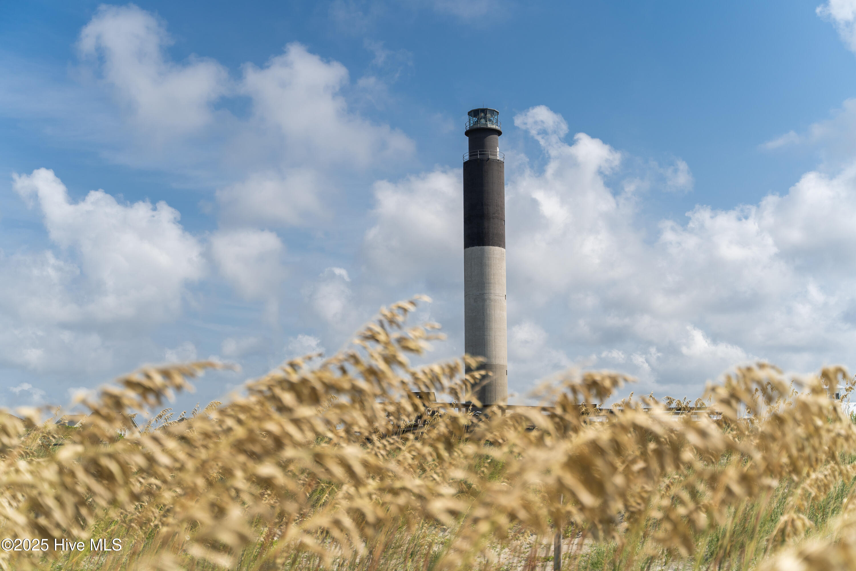 100545908 | Photo 74