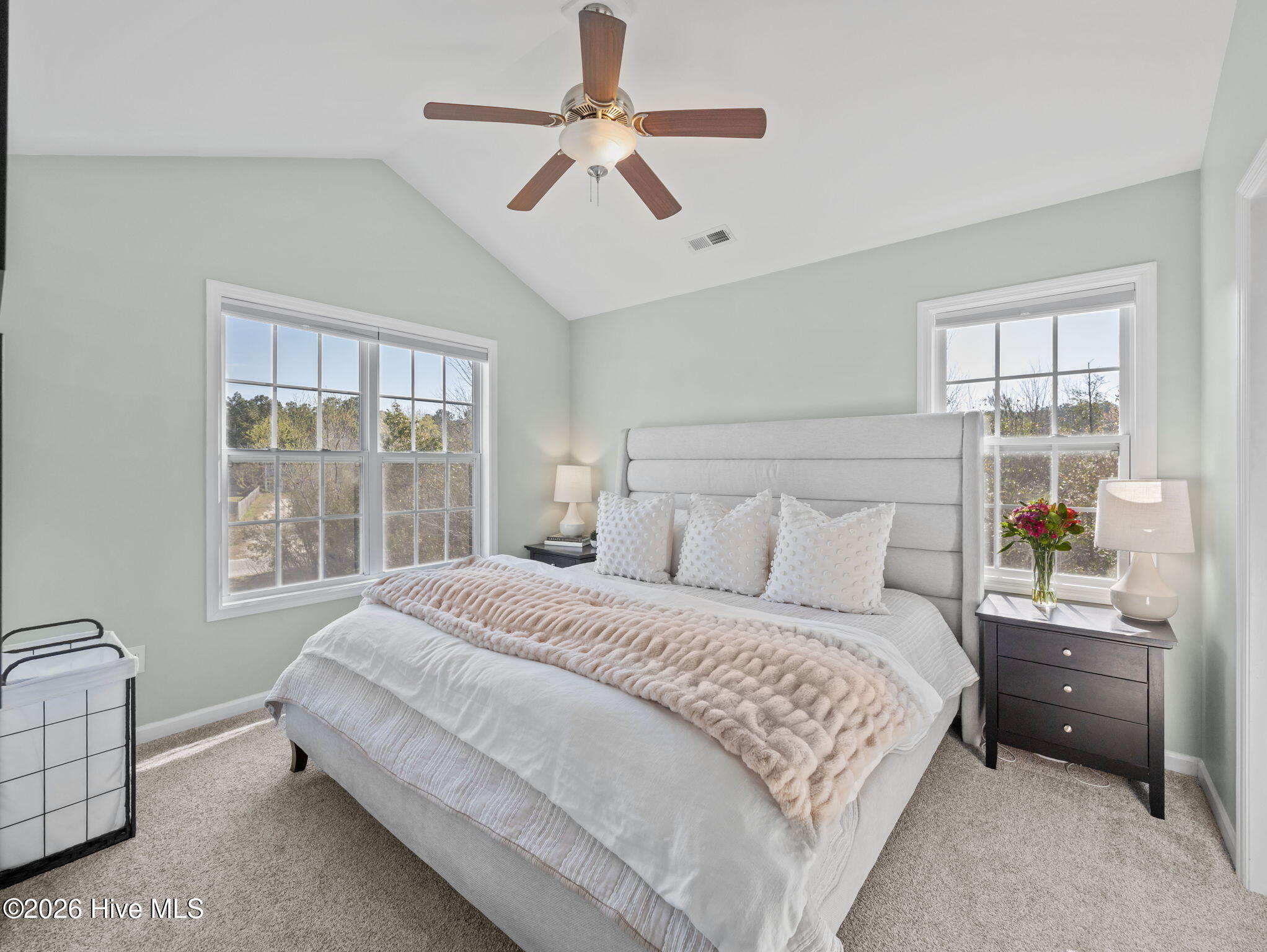 117 Blossom Court, Maple Hill, NC 28454 – photo 20: 6-web-or-mls-117 Blossom Ct. 1