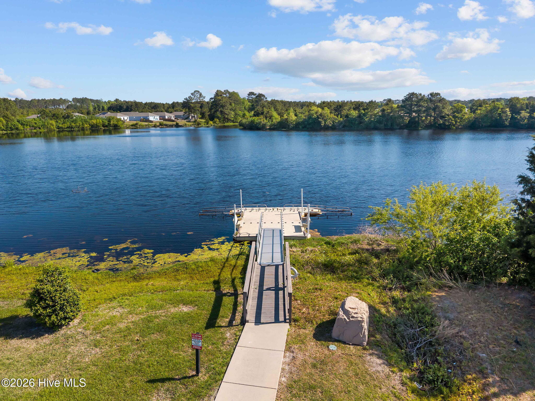 100569205 | Photo 53