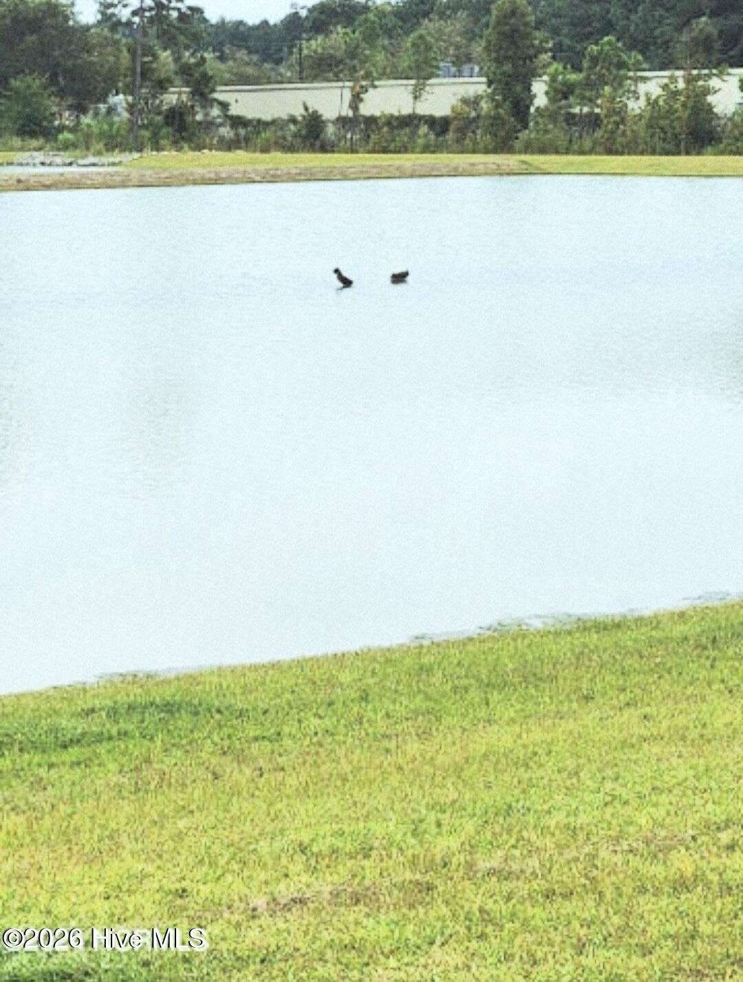 100564971 | Photo 10