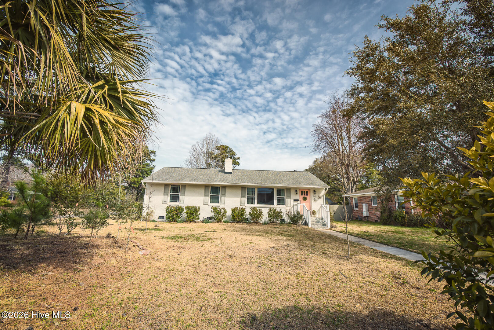 100556956 | Photo 66