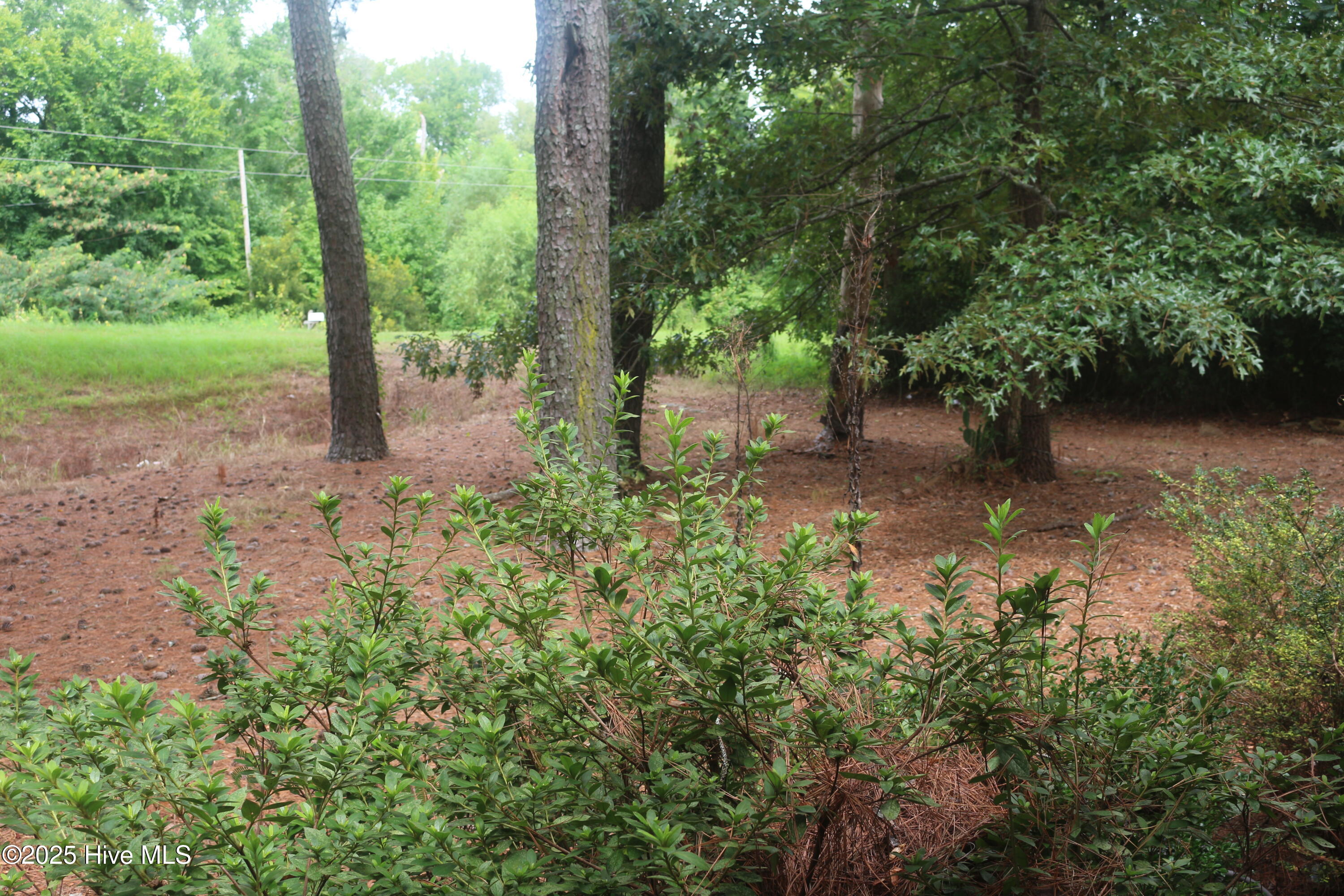 Homes for sale in Greenville, NC | 2044 Mozingo Rd, Greenville, NC 27834 | MLS# 100519166