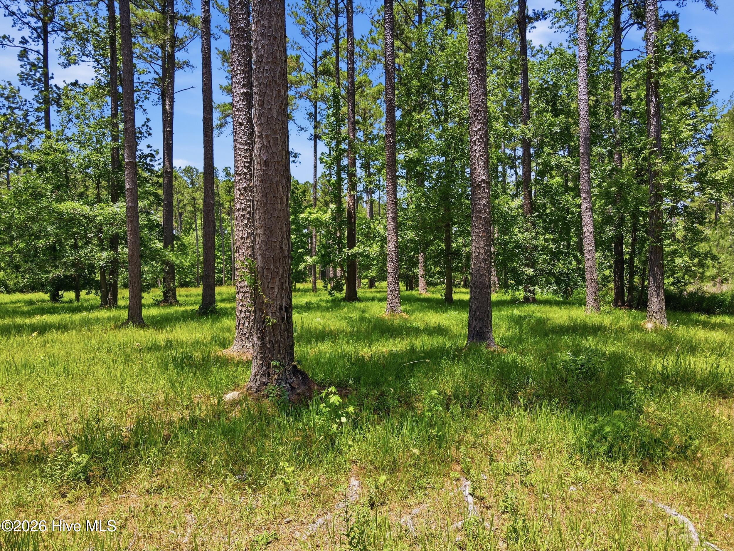 130 Ocracoke Drive,Oriental