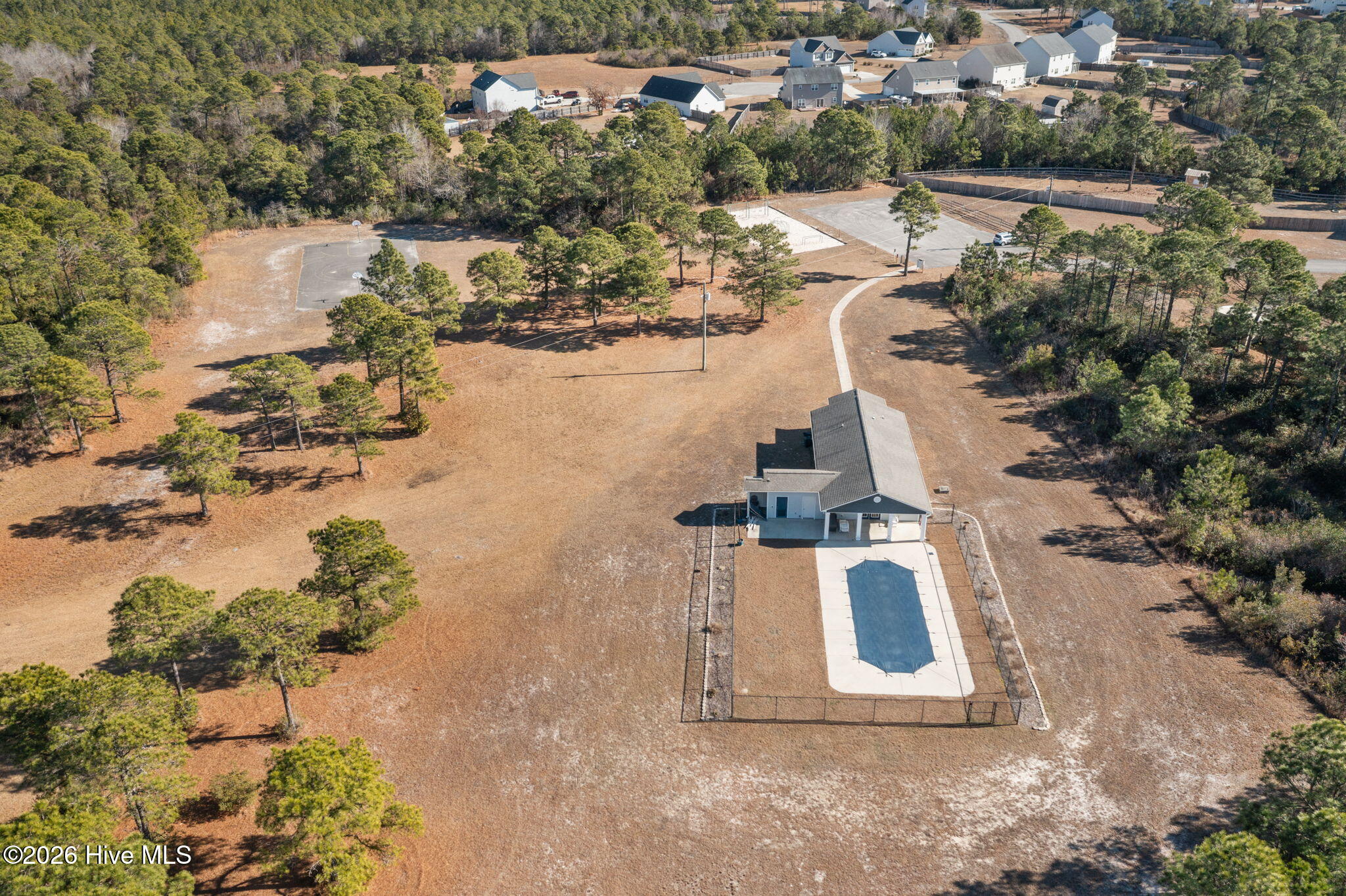 100547067 | Photo 10