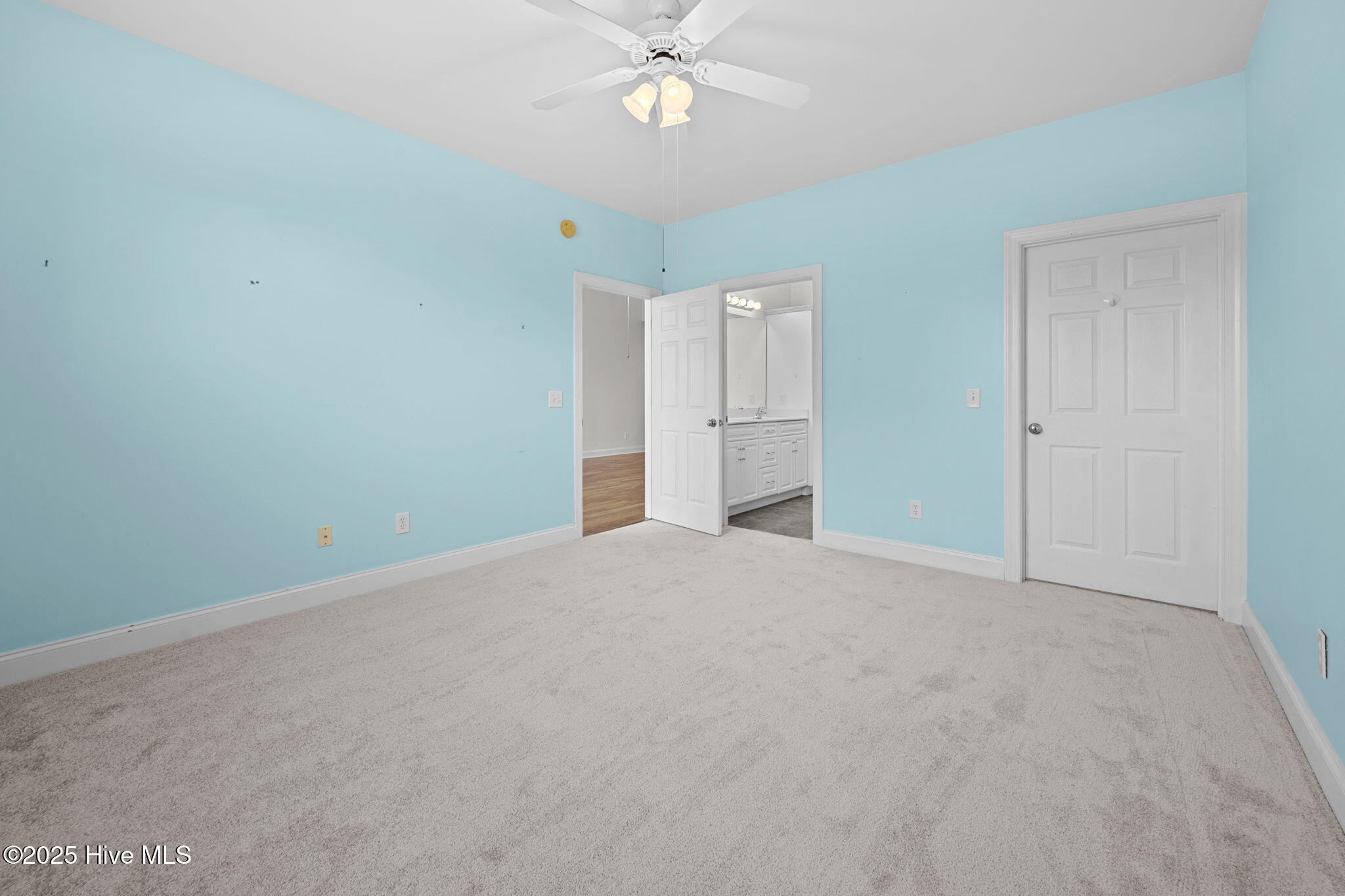 100535127 | Photo 18