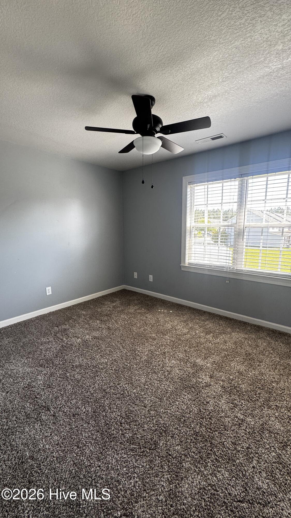 100557975 | Photo 13