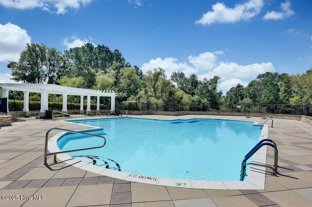 100554585 | Photo 49