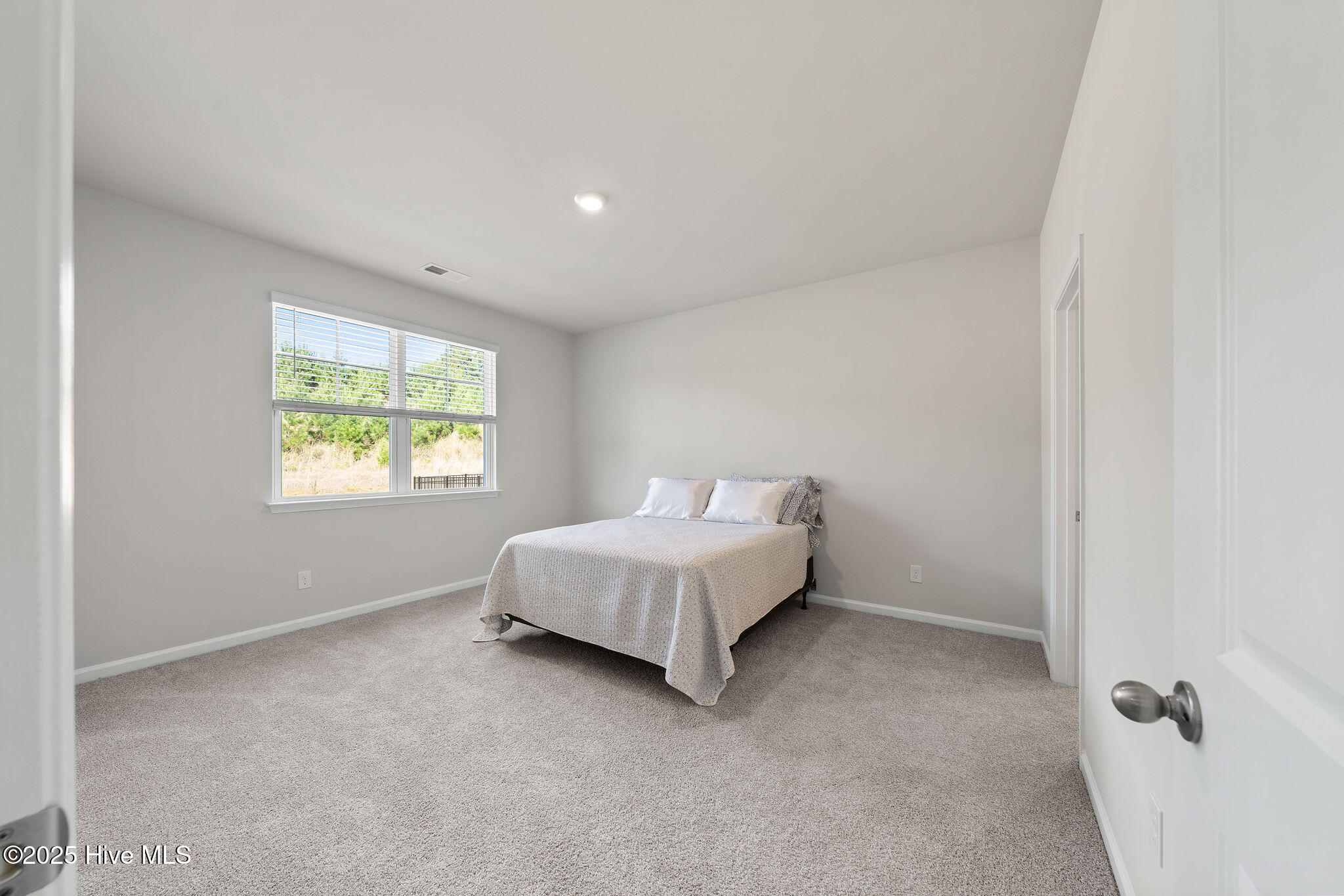 100539912 | Photo 24