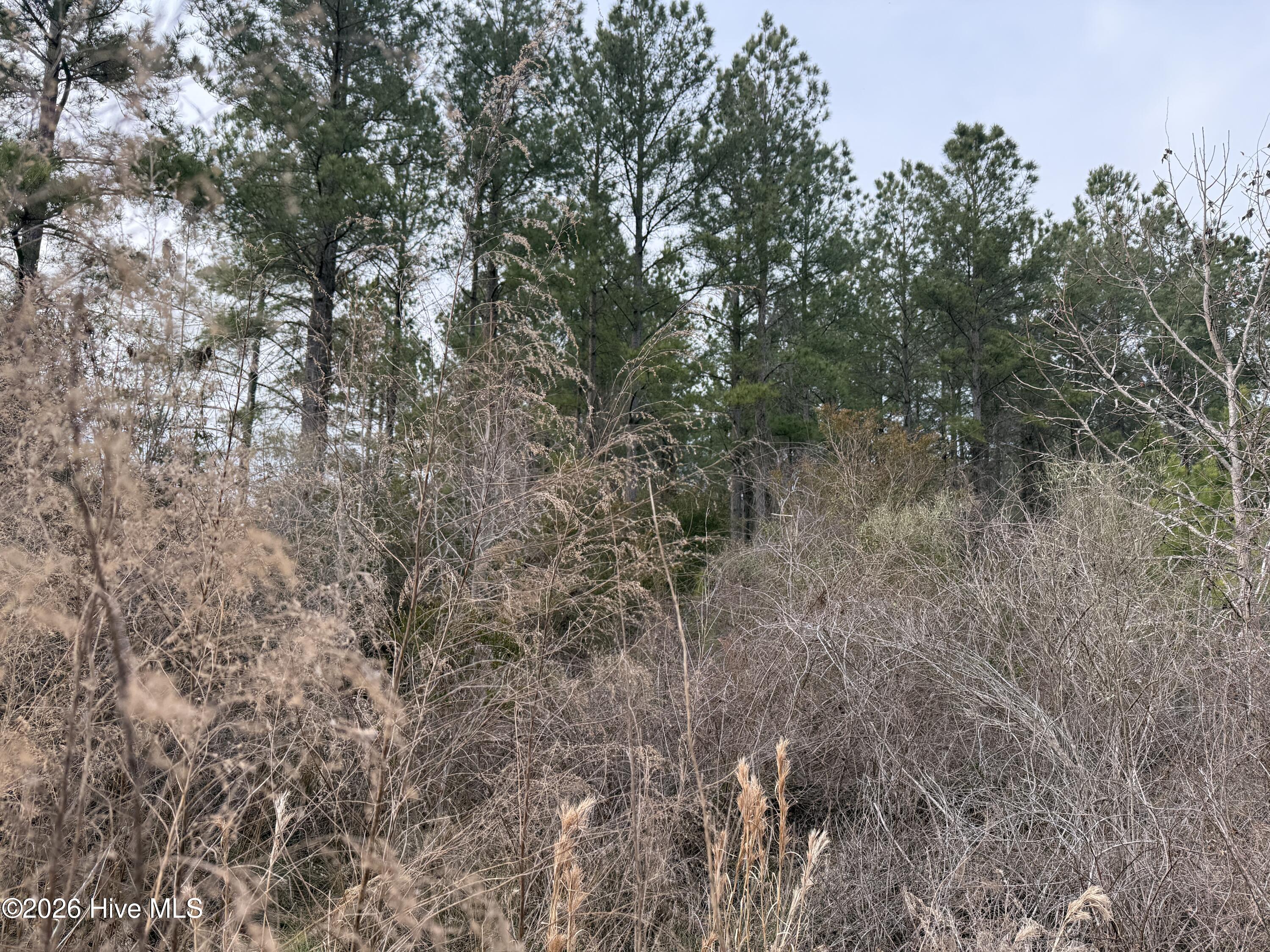 Homes for sale in Aurora, NC | 0 Tuten Rd, Aurora, NC 27806 | MLS# 100556942