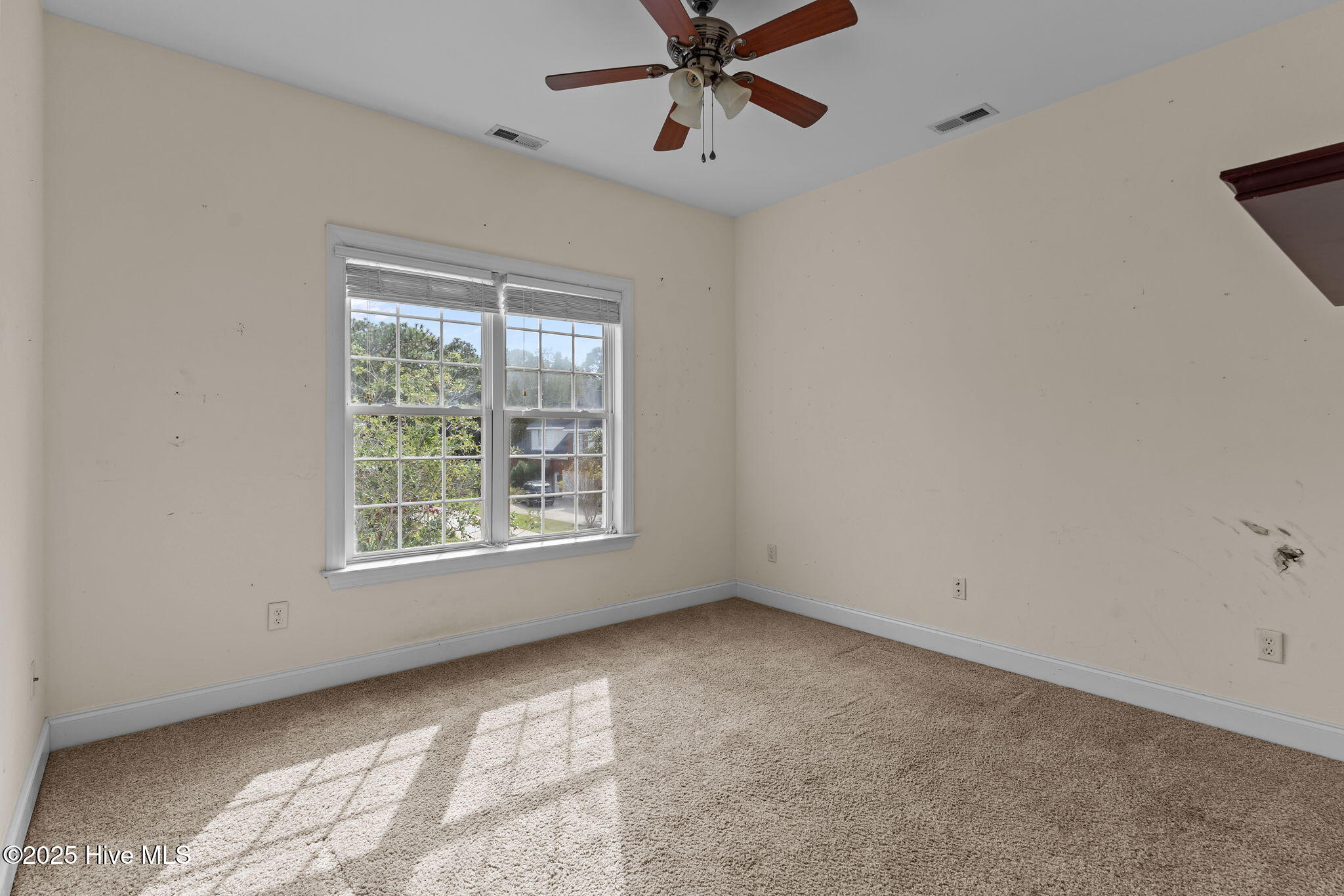 100538095 | Photo 40