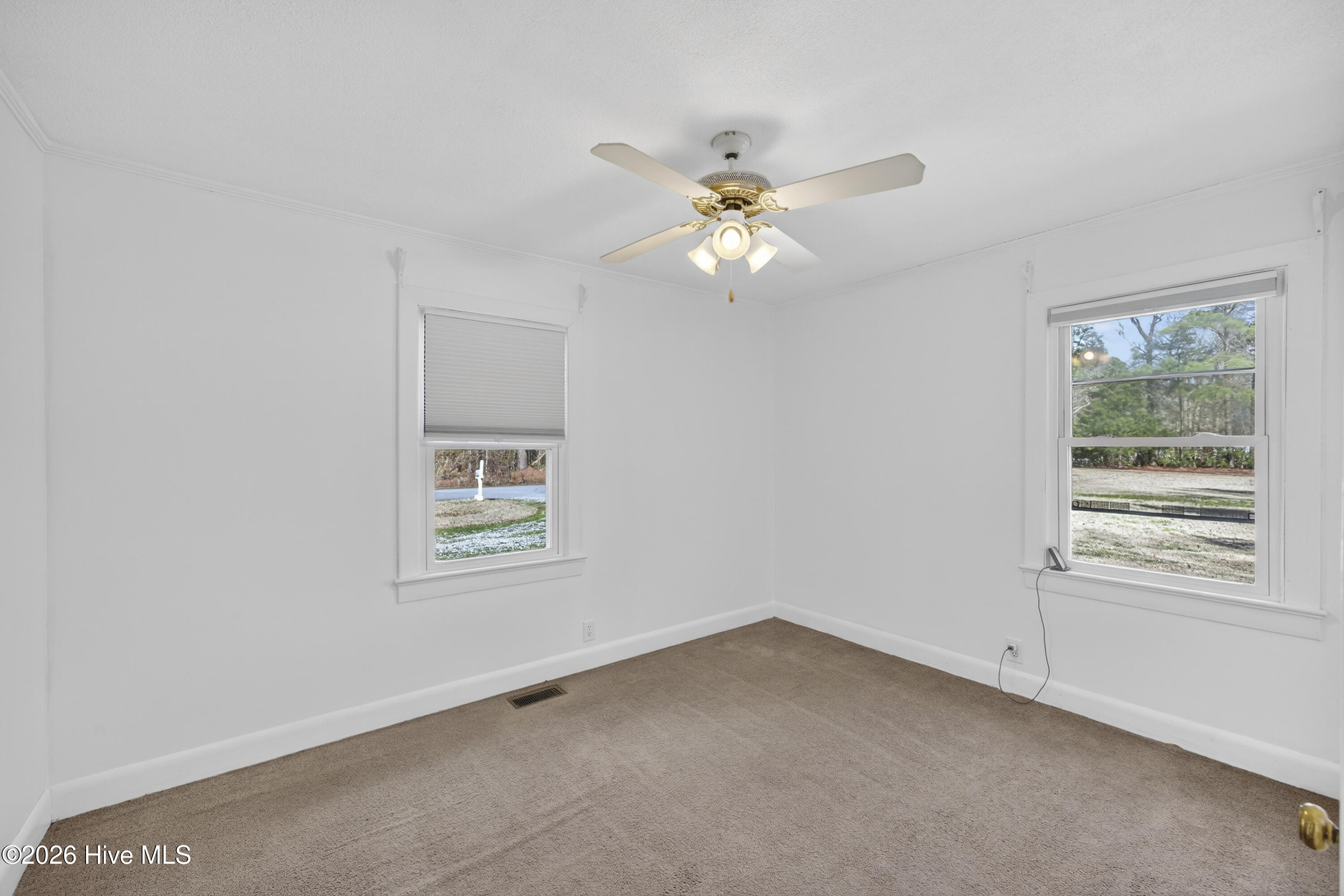 100556676 | Photo 21