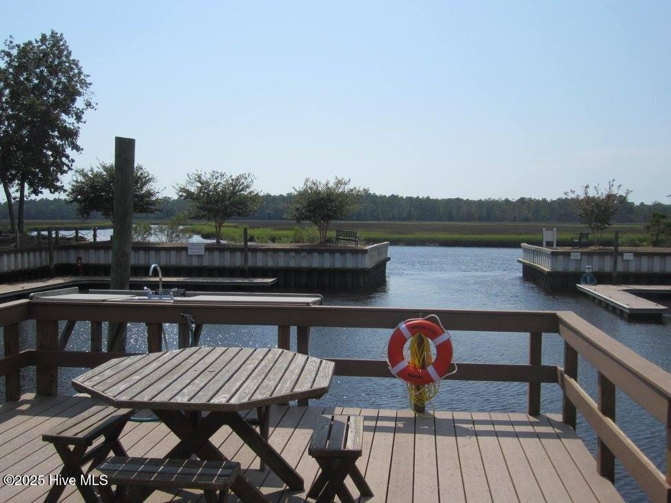 1620 Goley Hewett Road SE Unit 307, Bolivia, NC 28422 – photo 20: Marina 2