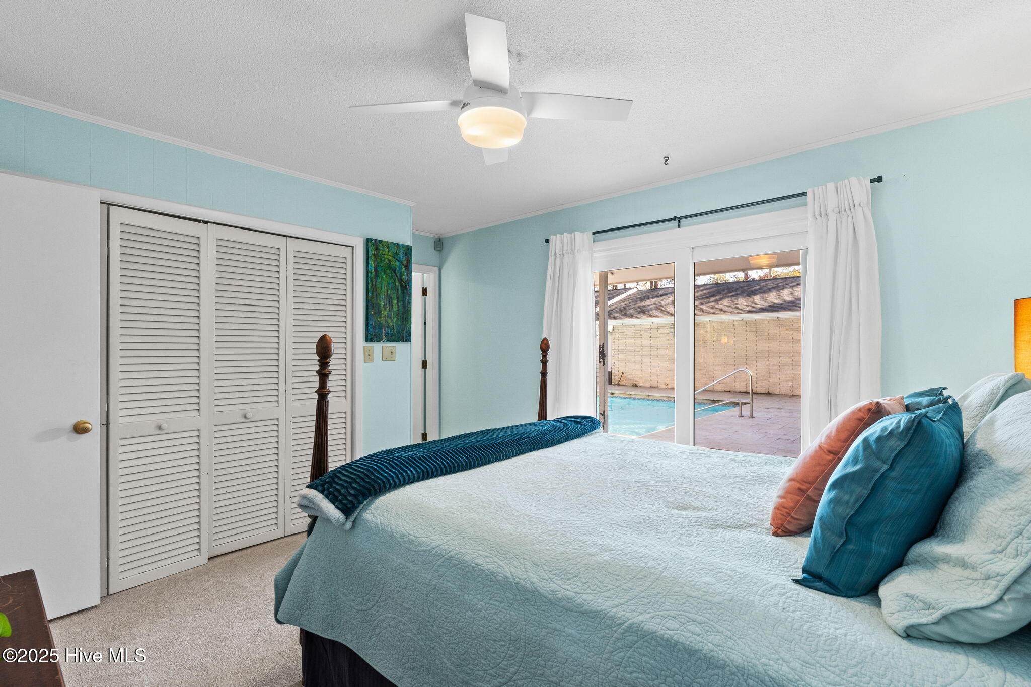 100544236 | Photo 47