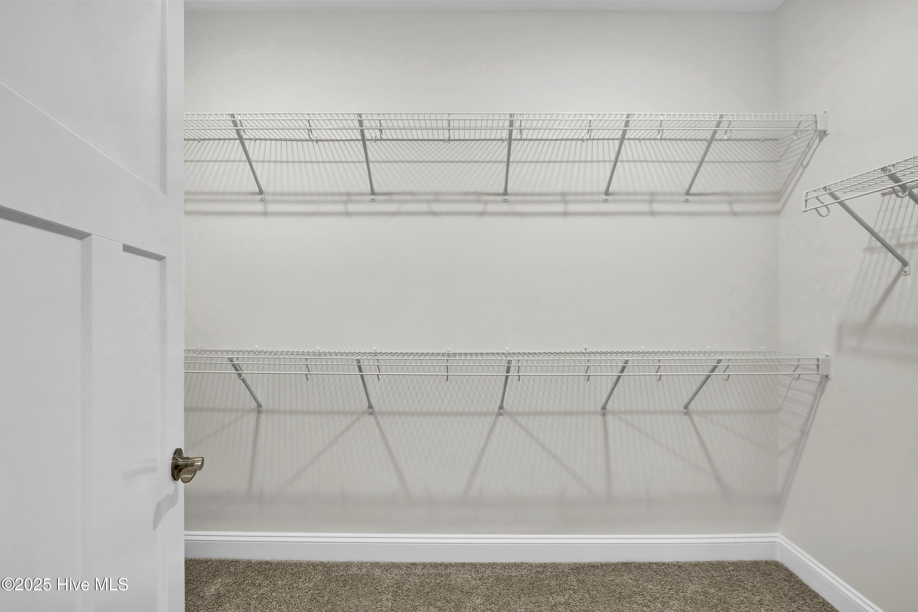 100477317 | Photo 18