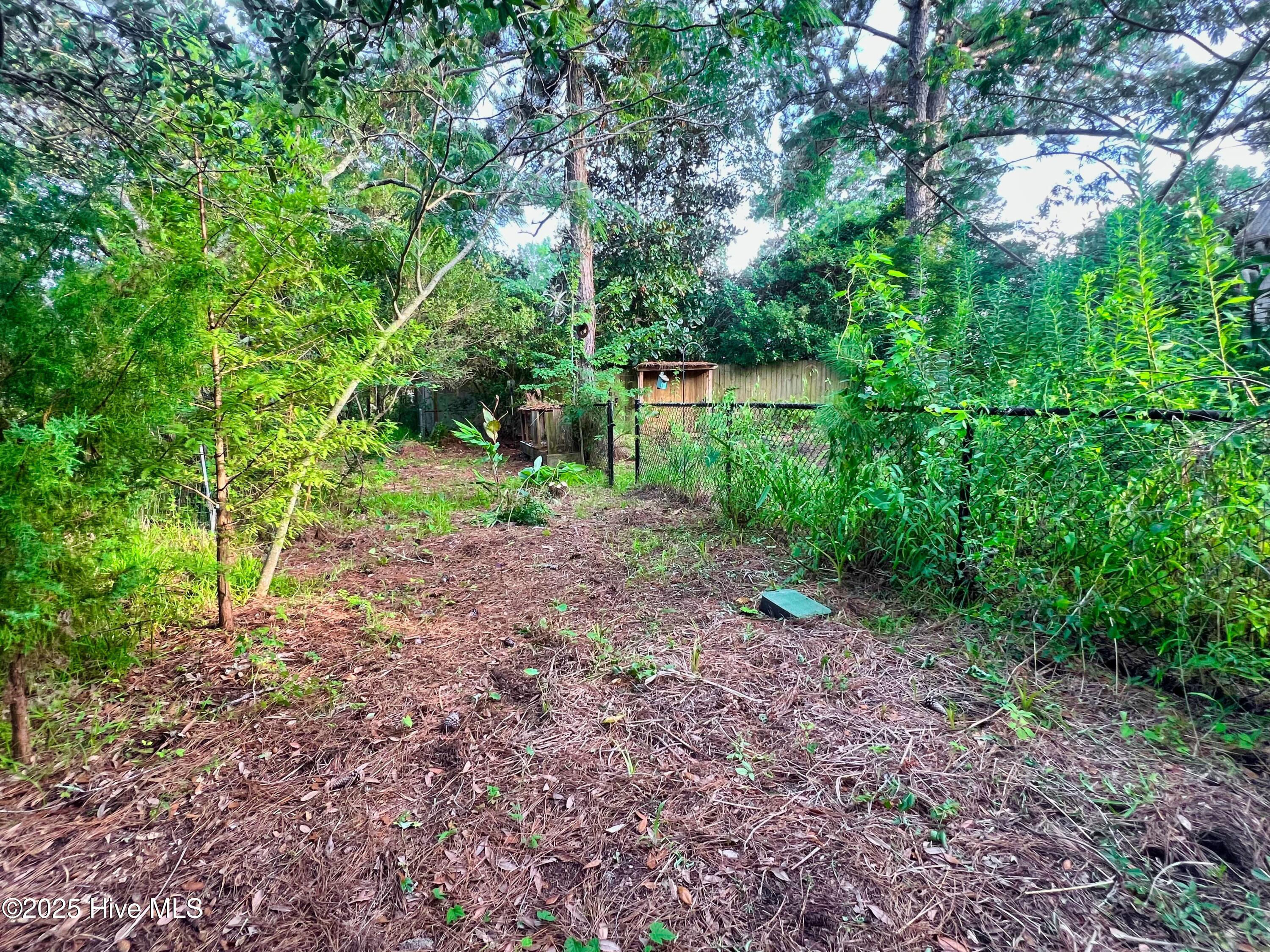 100521049 | Photo 42