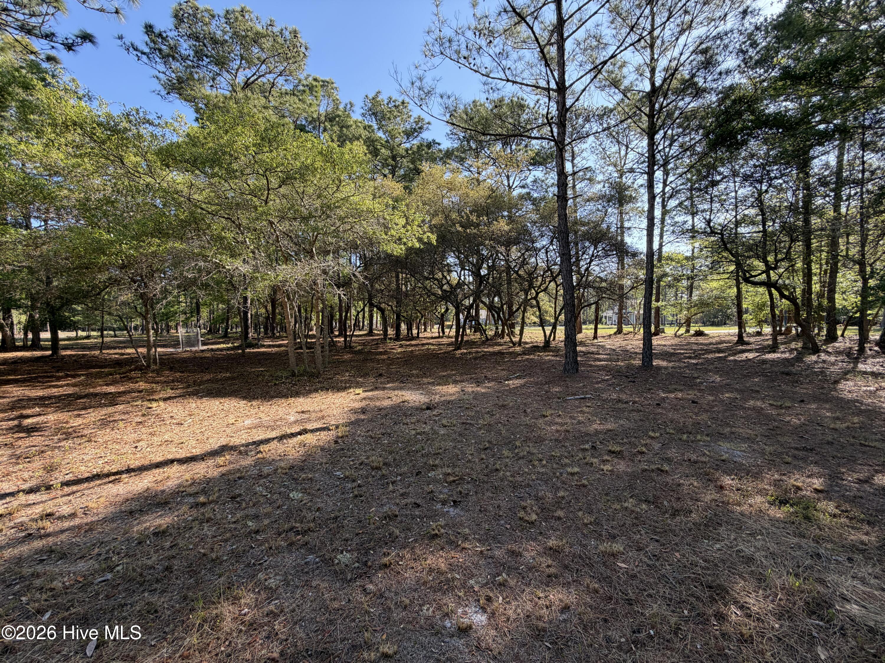 100569974 | Photo 26