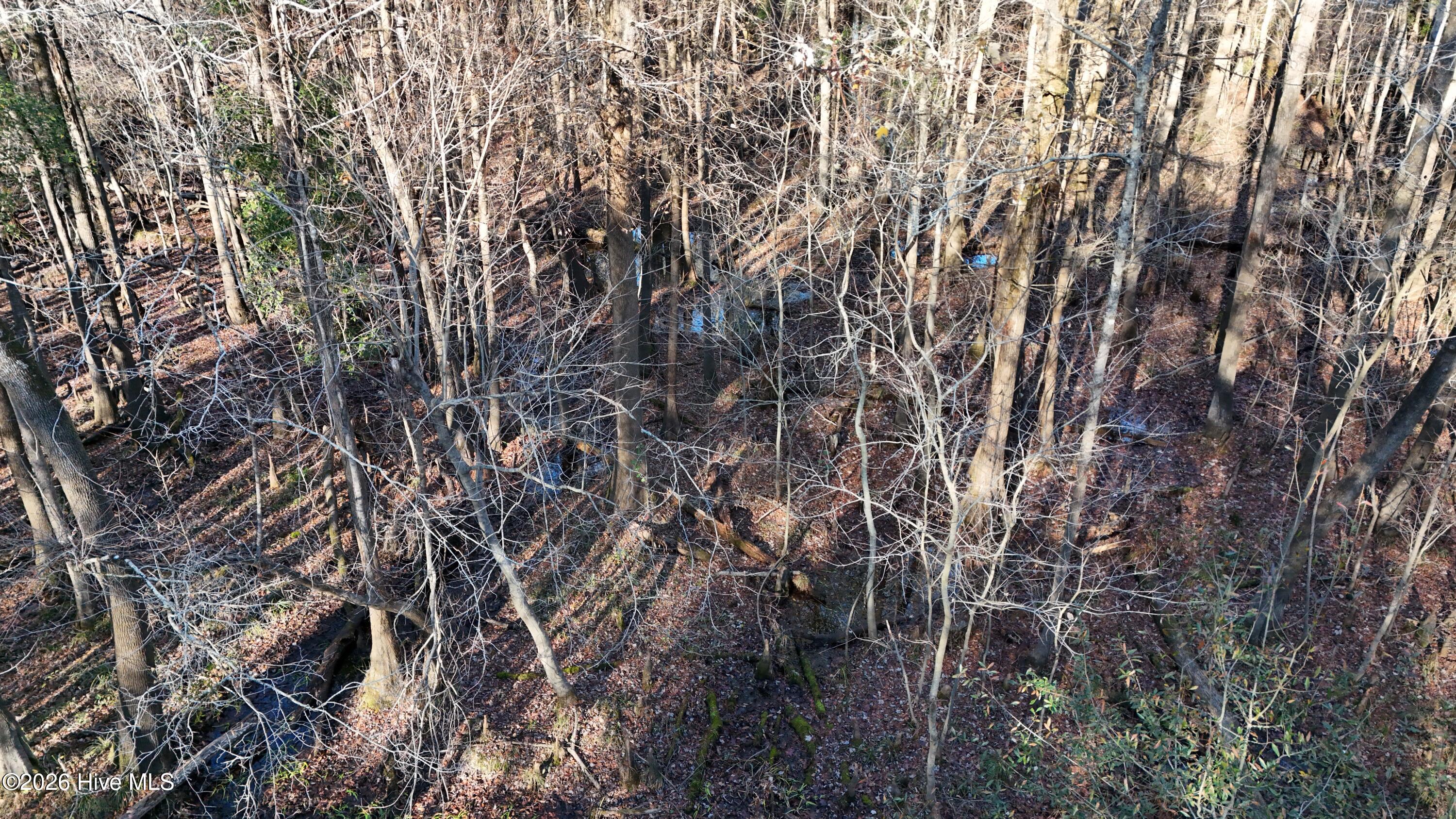 100556794 | Photo 21