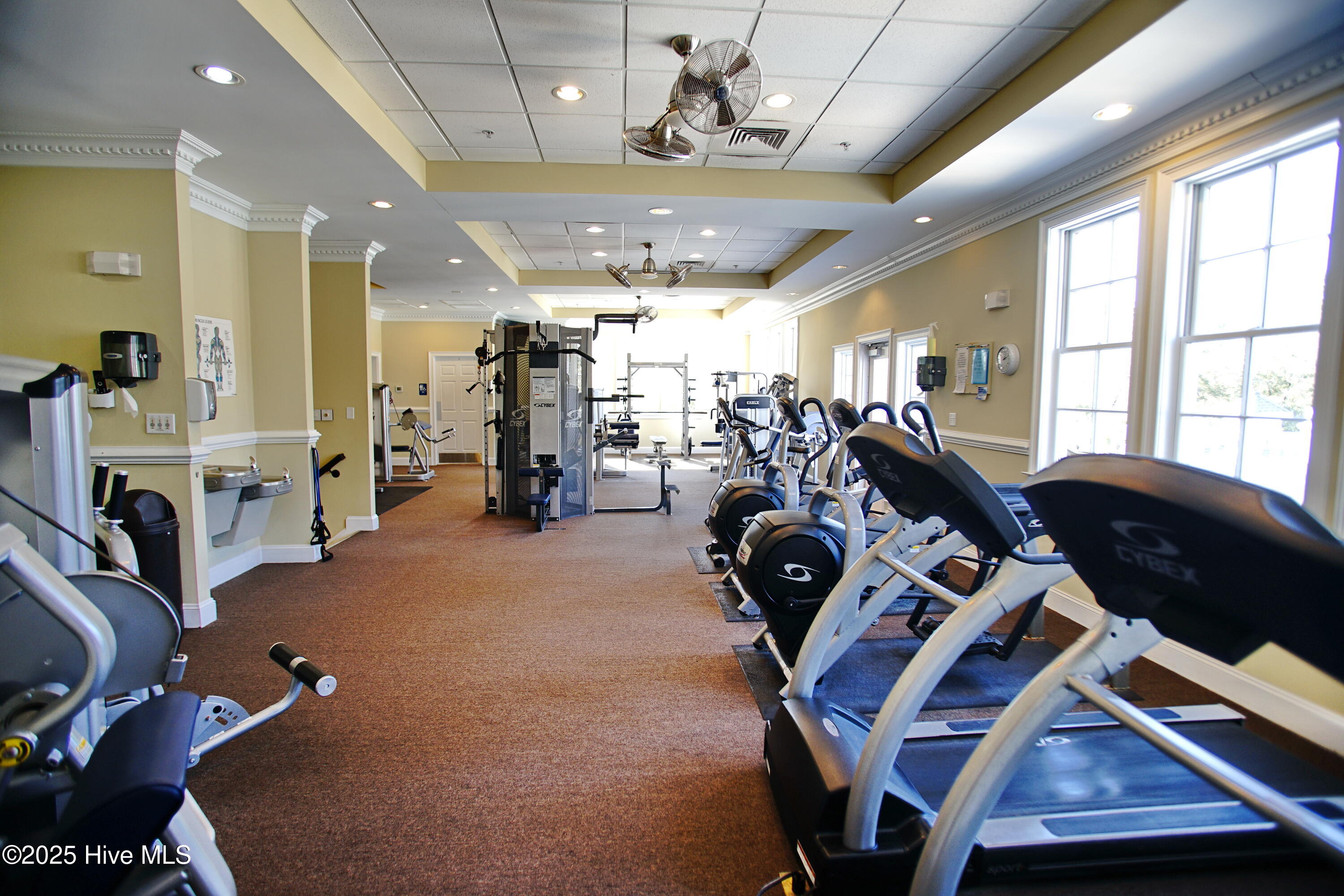 100483452 | Photo 18