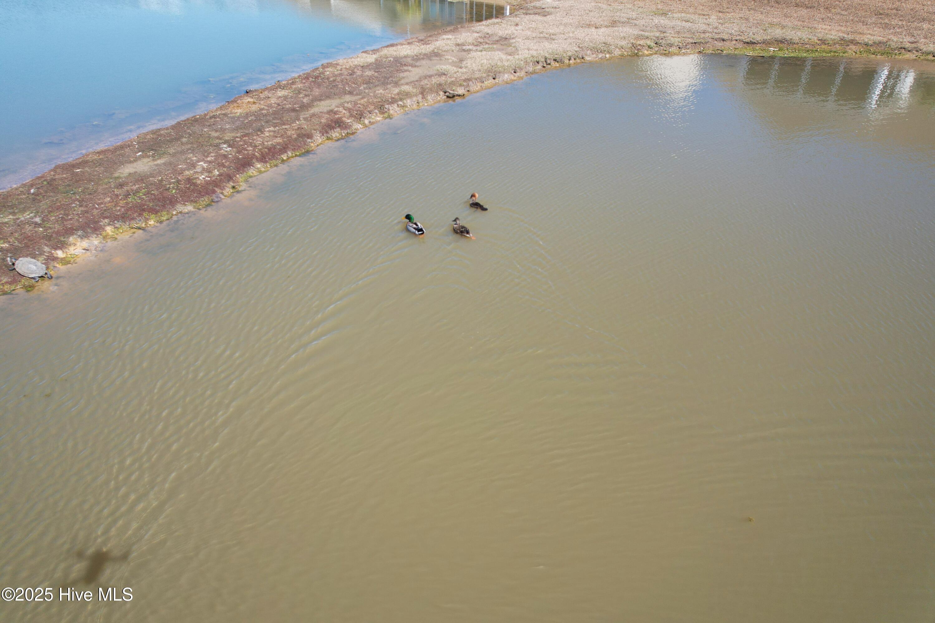 100532742 | Photo 53