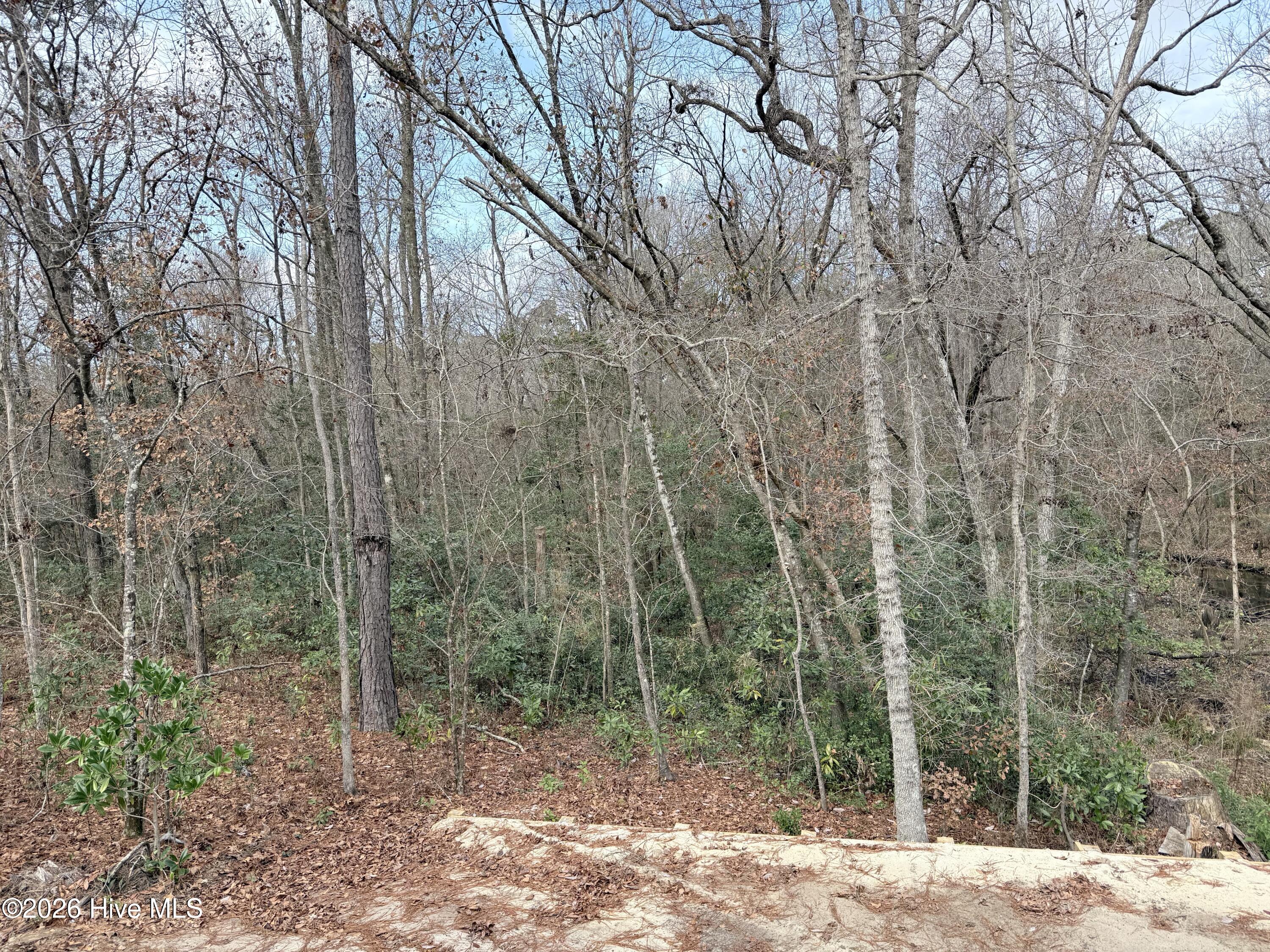 100528039 | Photo 25