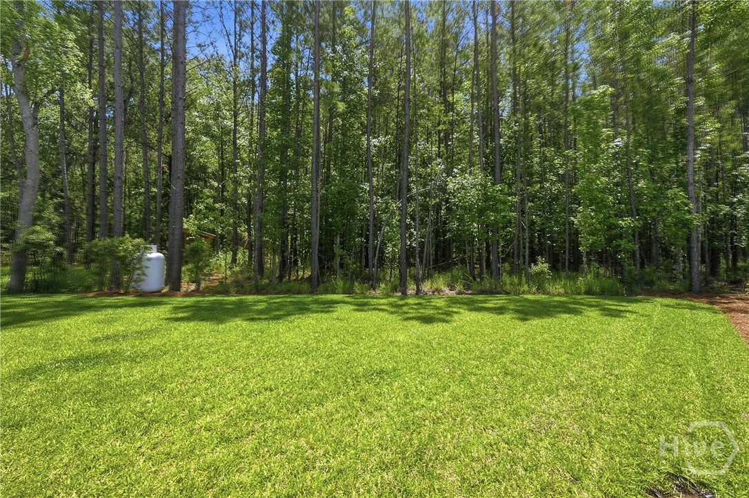 19 Serenity Point, Savannah, GA 31419 Listing Photo  47