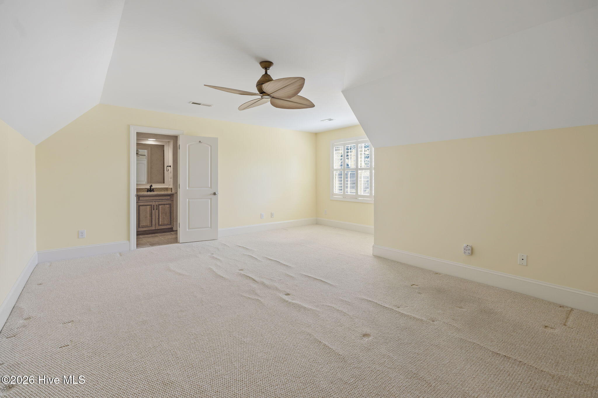 100568183 | Photo 36