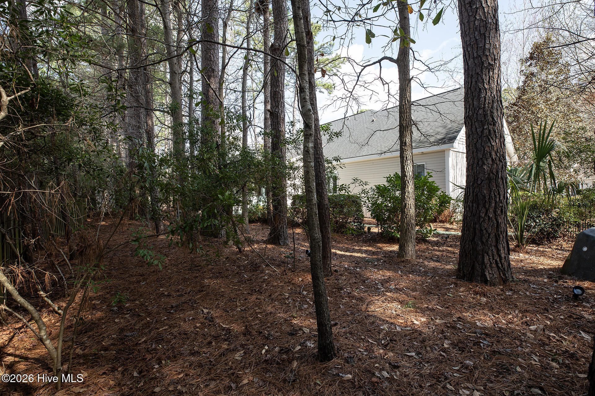 100558971 | Photo 46